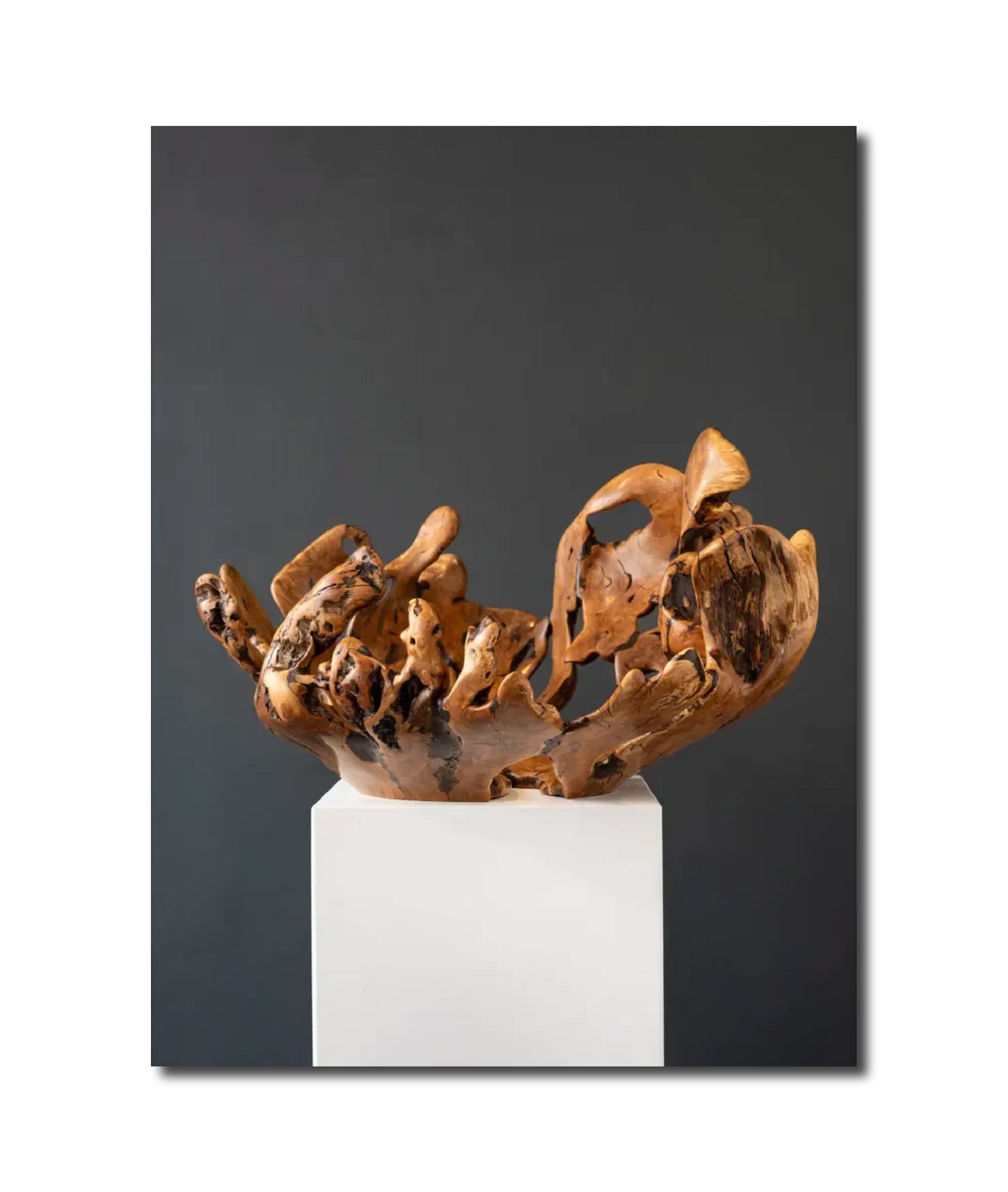 wood 'WILD OLIVE ROOT' Rodney Band