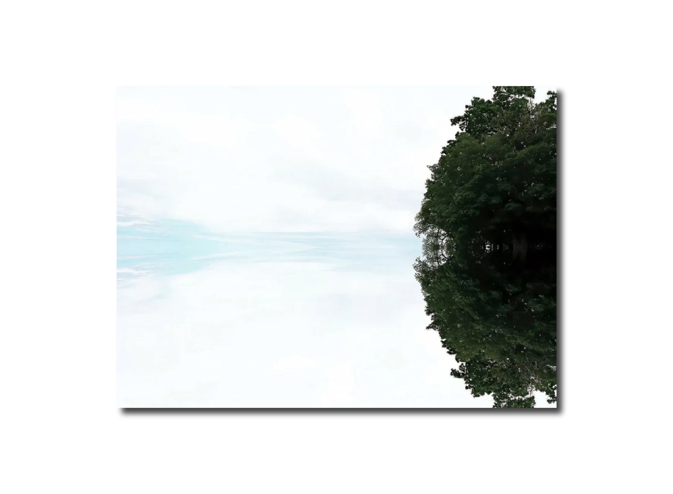 Colorized Photography Photography Surrealist Visionary Travel The sky's ,A Tree's Reflections Nicole Martinelli