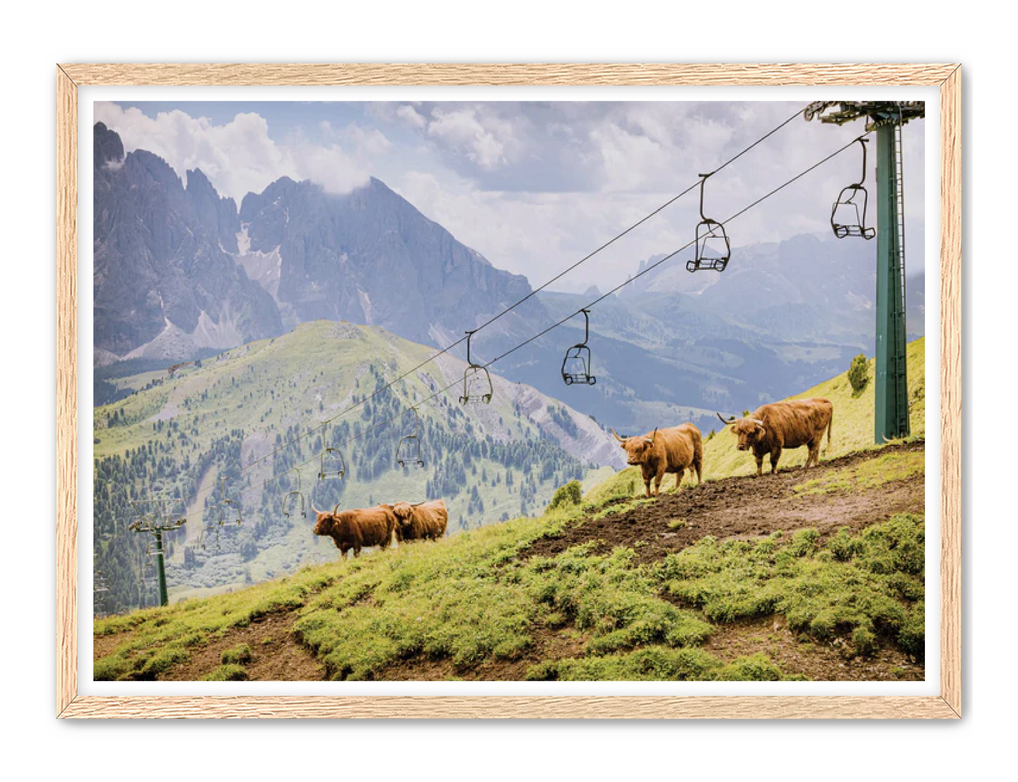 photography Prints 'HIGHLANDS ON THE HILL' Erin Rudzinski