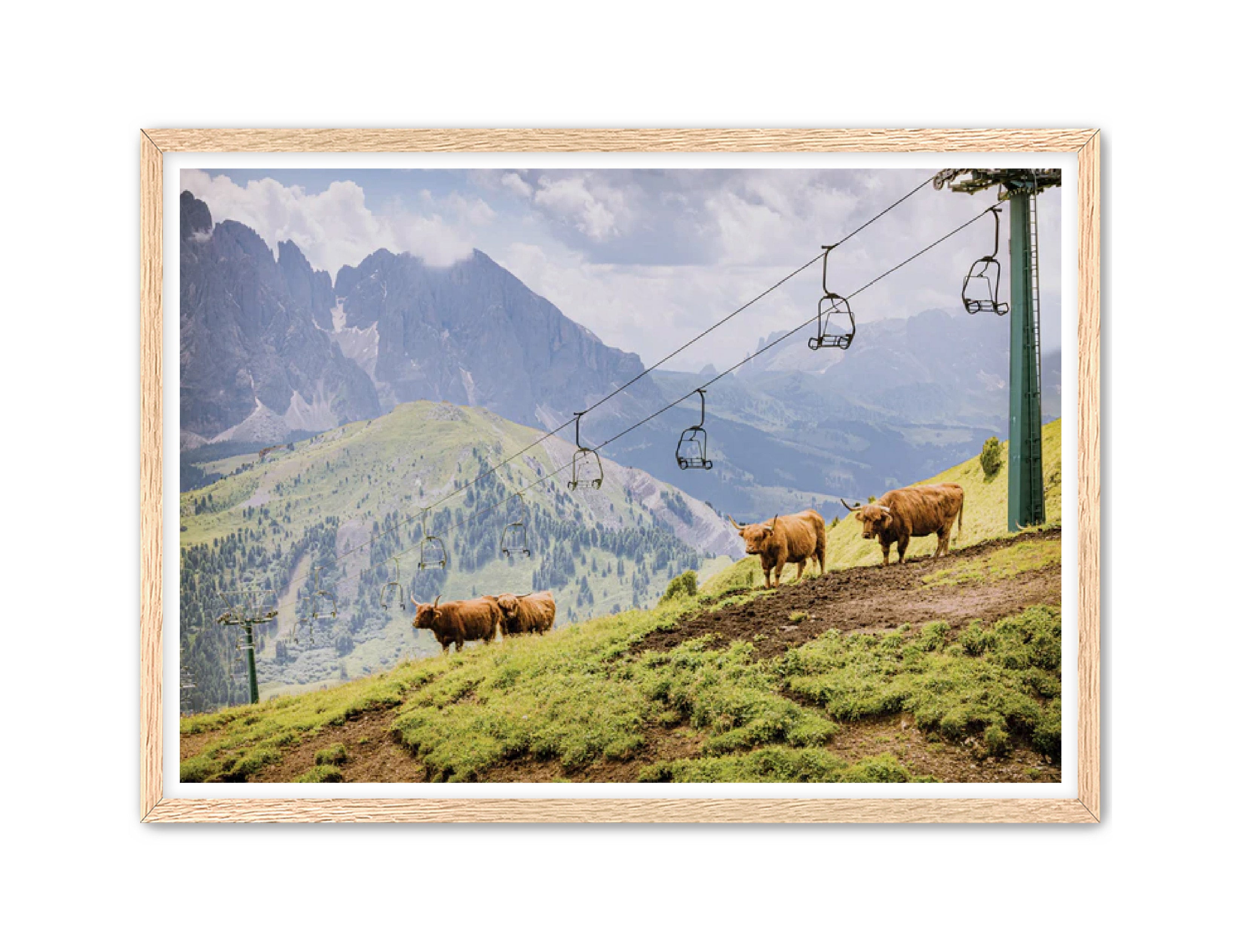 photography Prints 'HIGHLANDS ON THE HILL' Erin Rudzinski