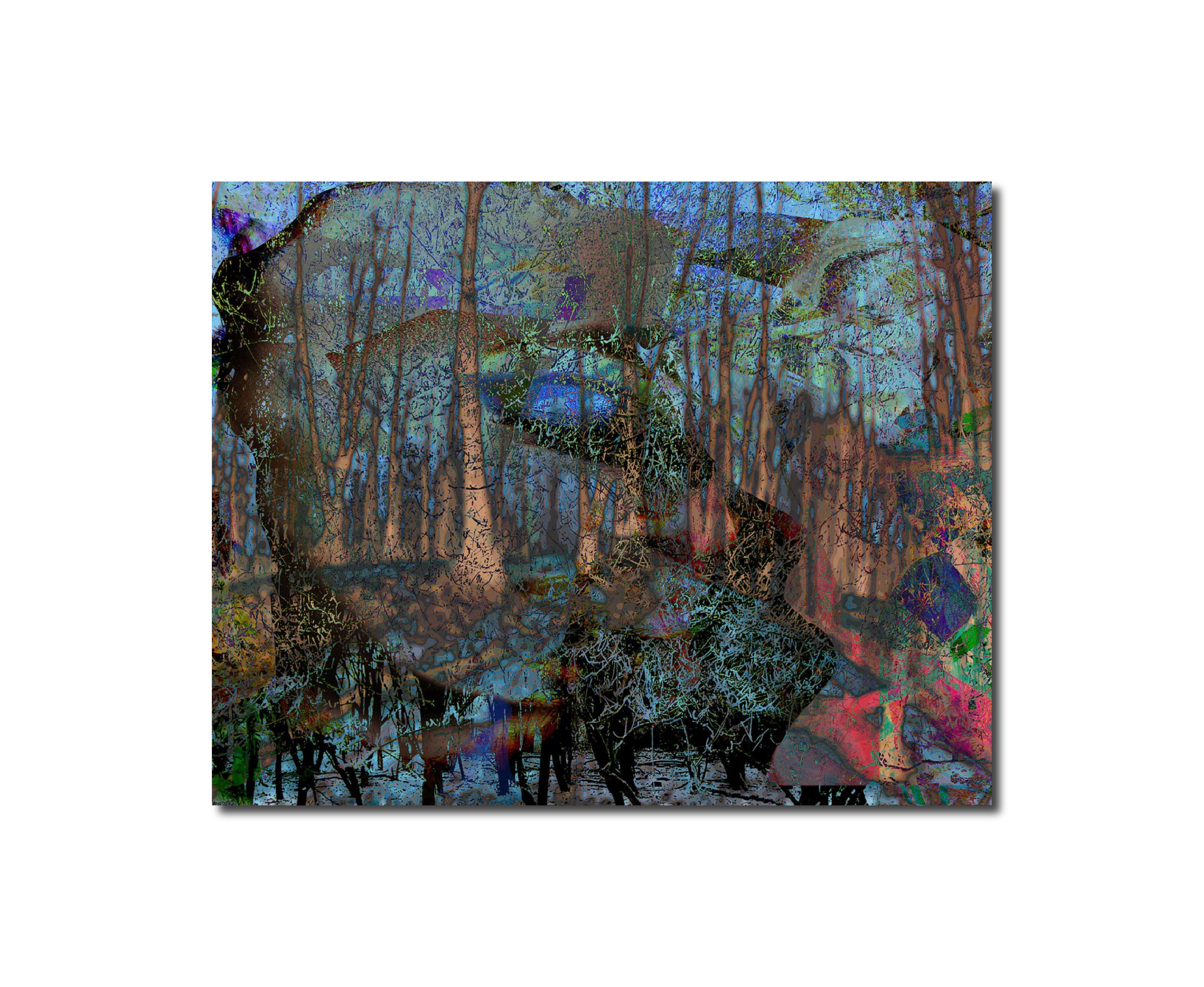 Dreamland forrest I Geert Lemmers