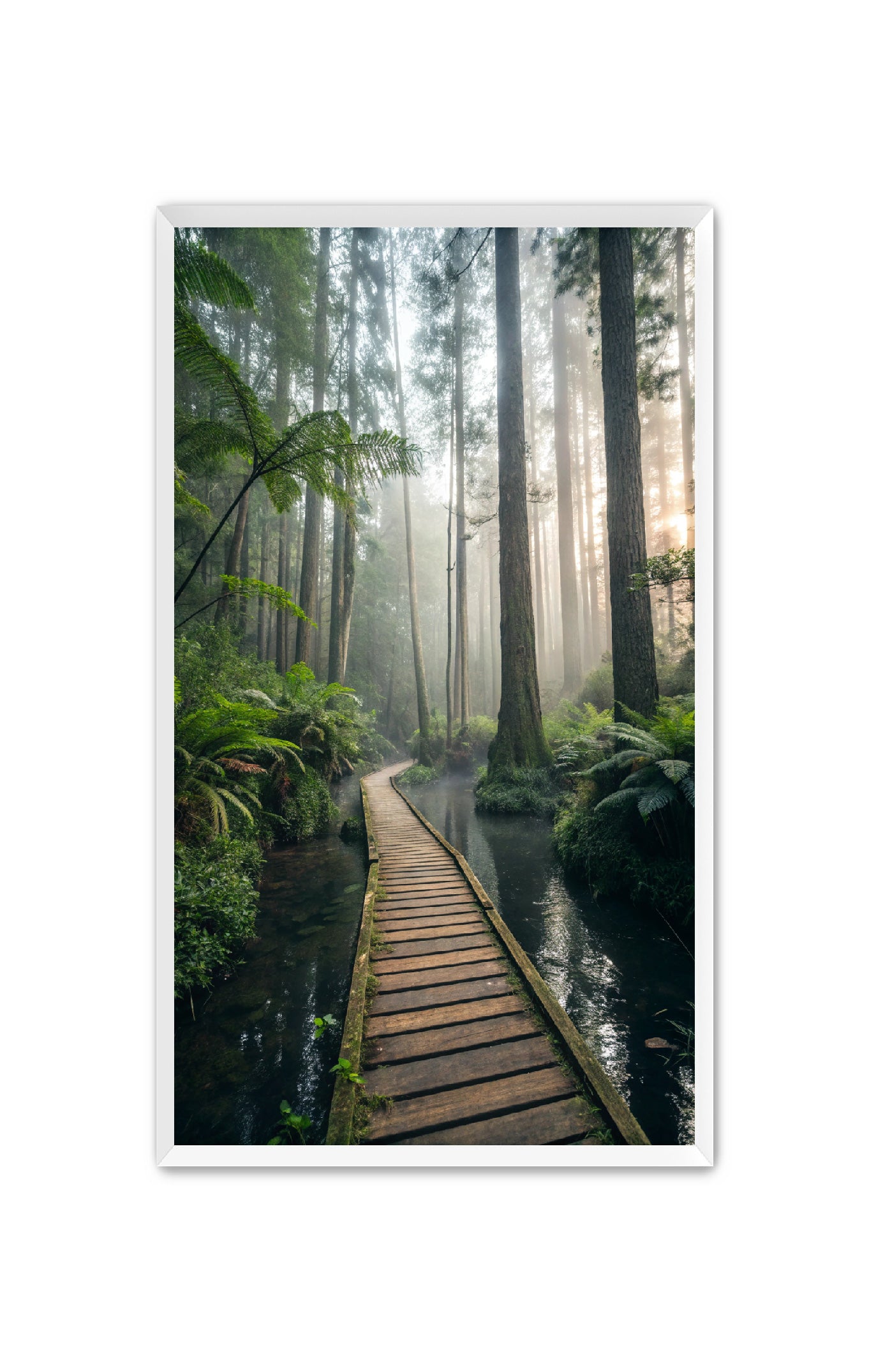Apricus Prints 'Canopy Crossing' Apricus Art Collection