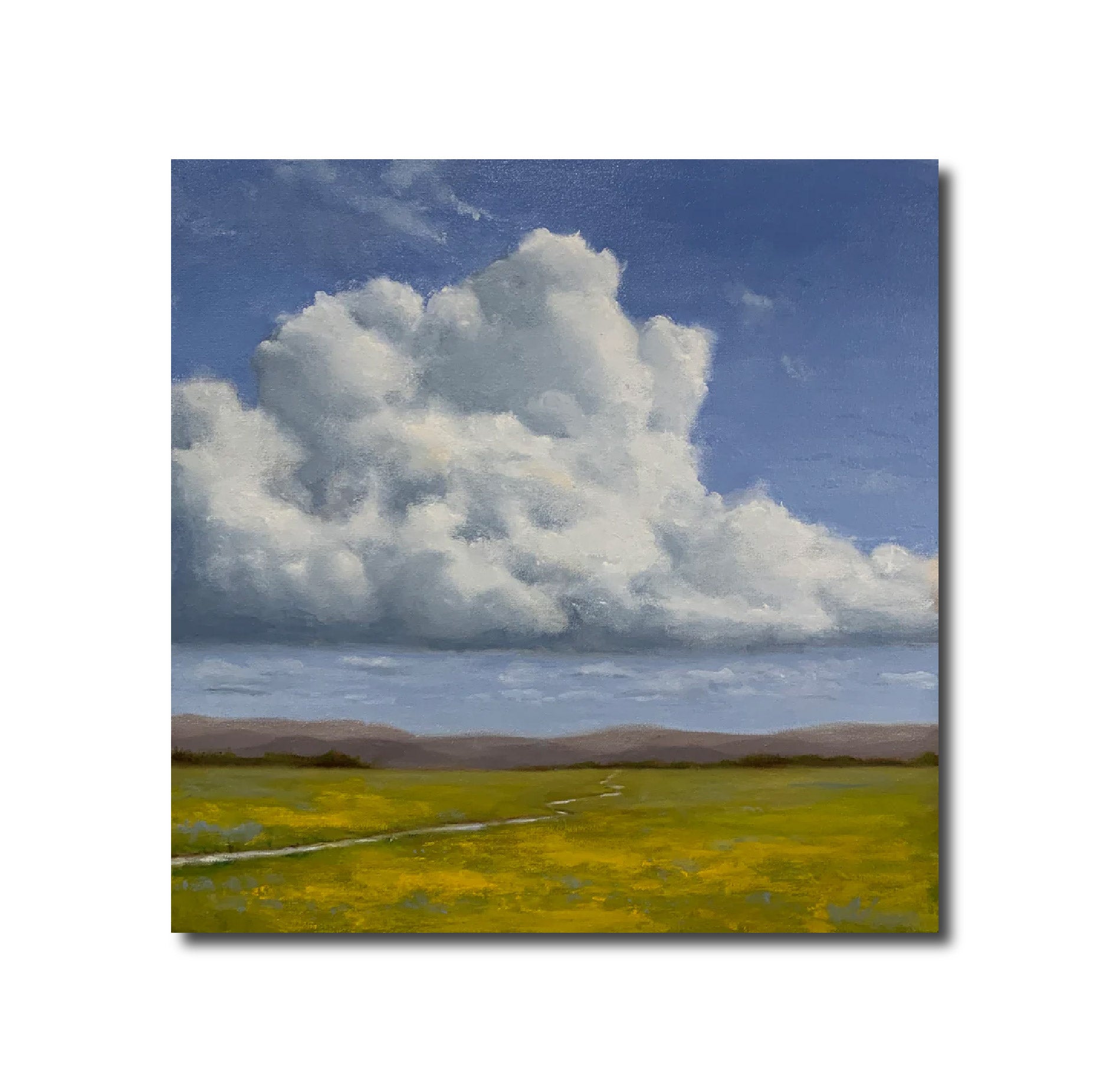 Oil 'BUTTERCUP VALLEY' - Oil Kat Bergman