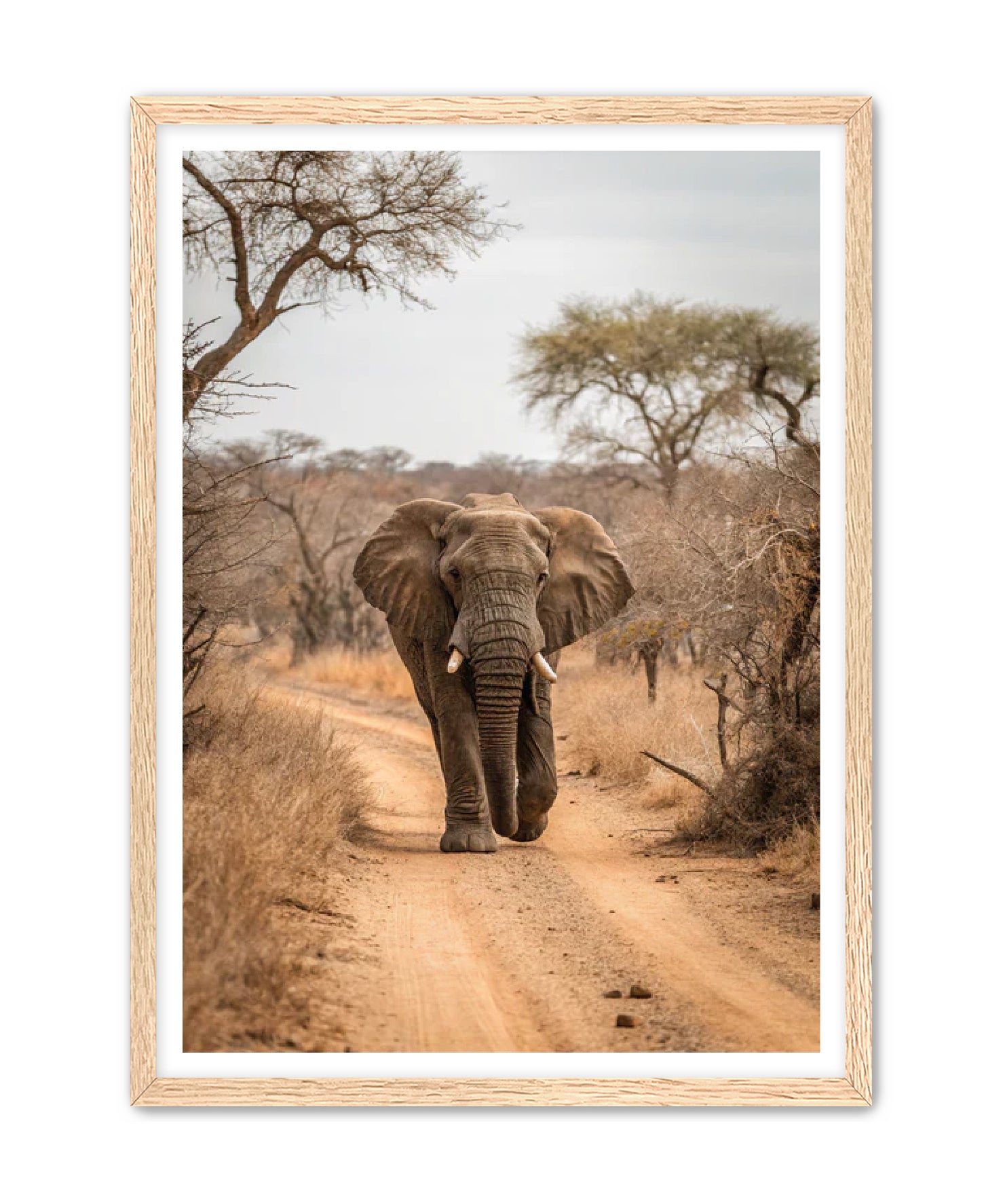 'Sunday Stroll'