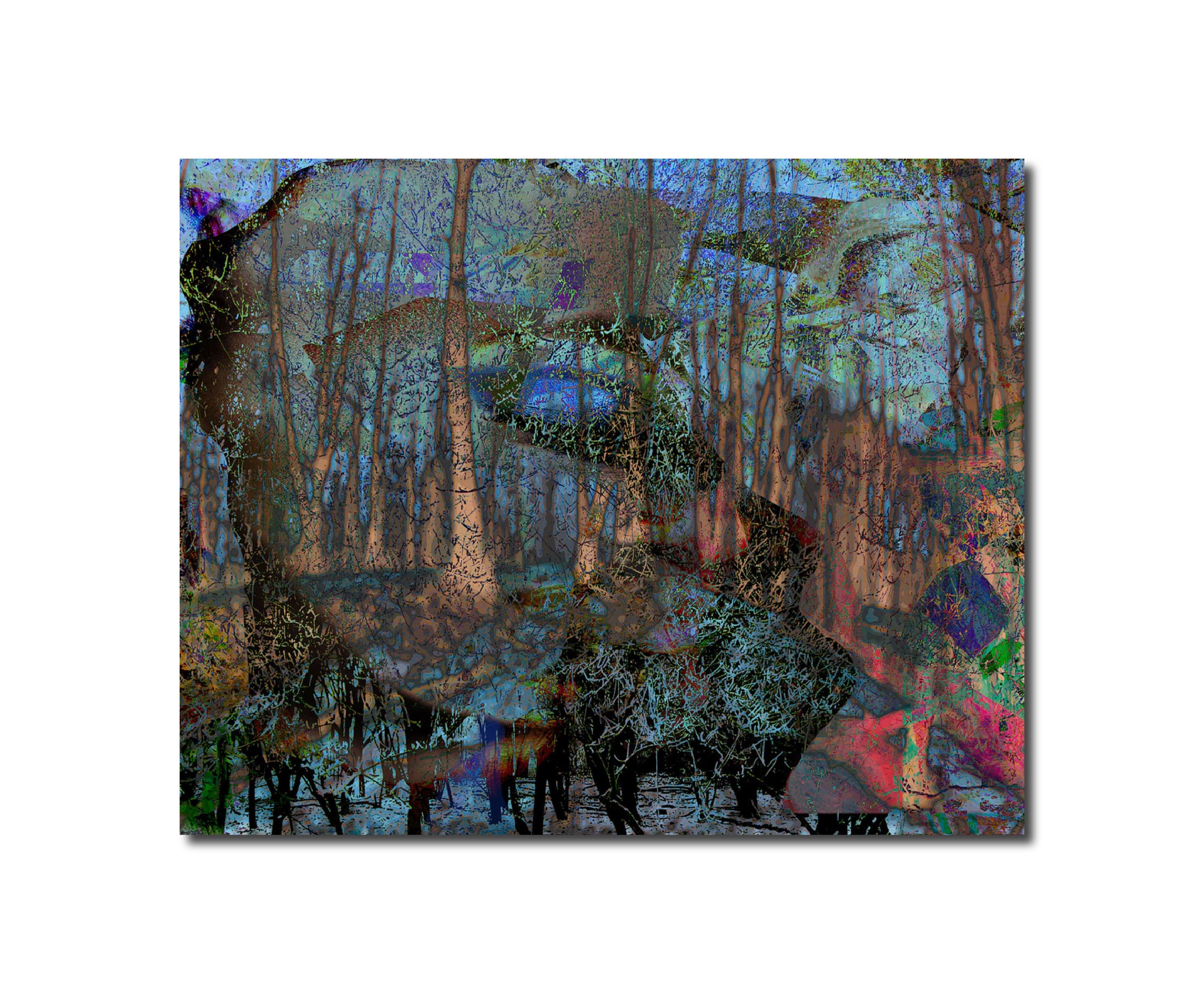 Dreamland forrest I Geert Lemmers