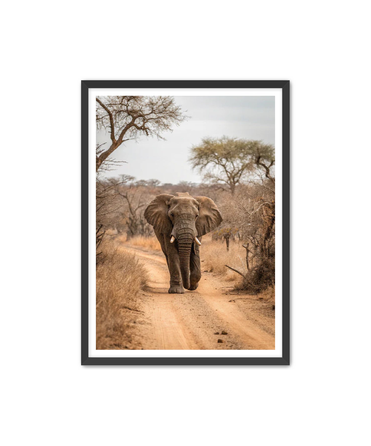 'Sunday Stroll'