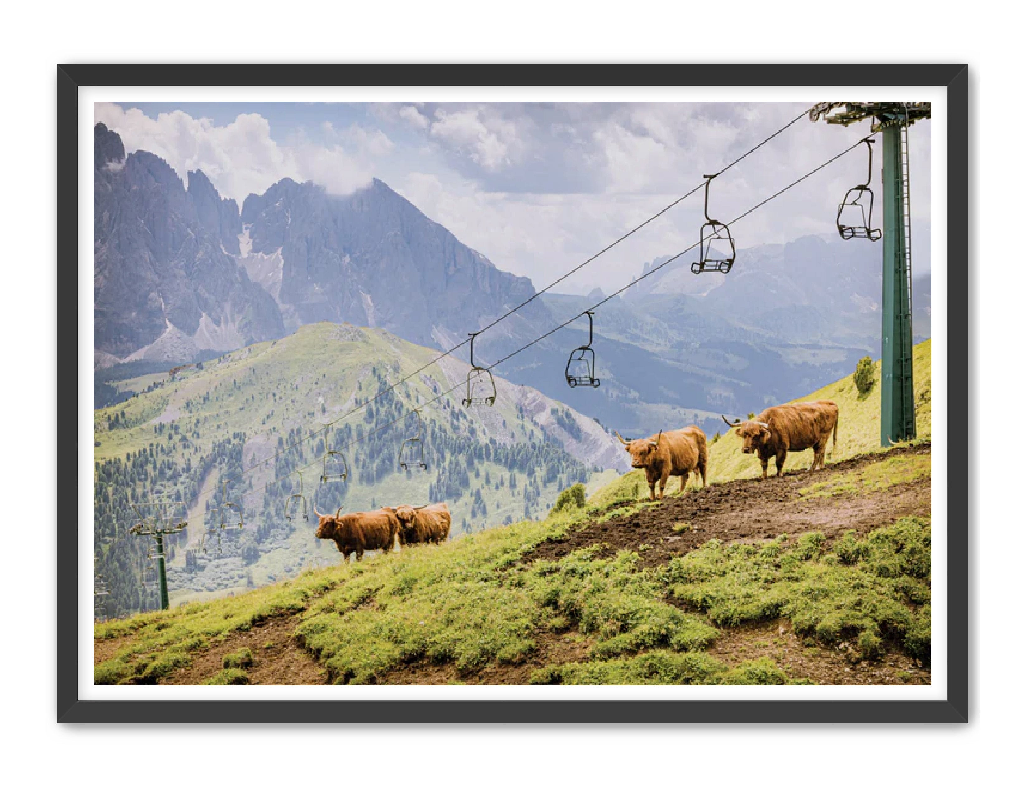 photography Prints 'HIGHLANDS ON THE HILL' Erin Rudzinski