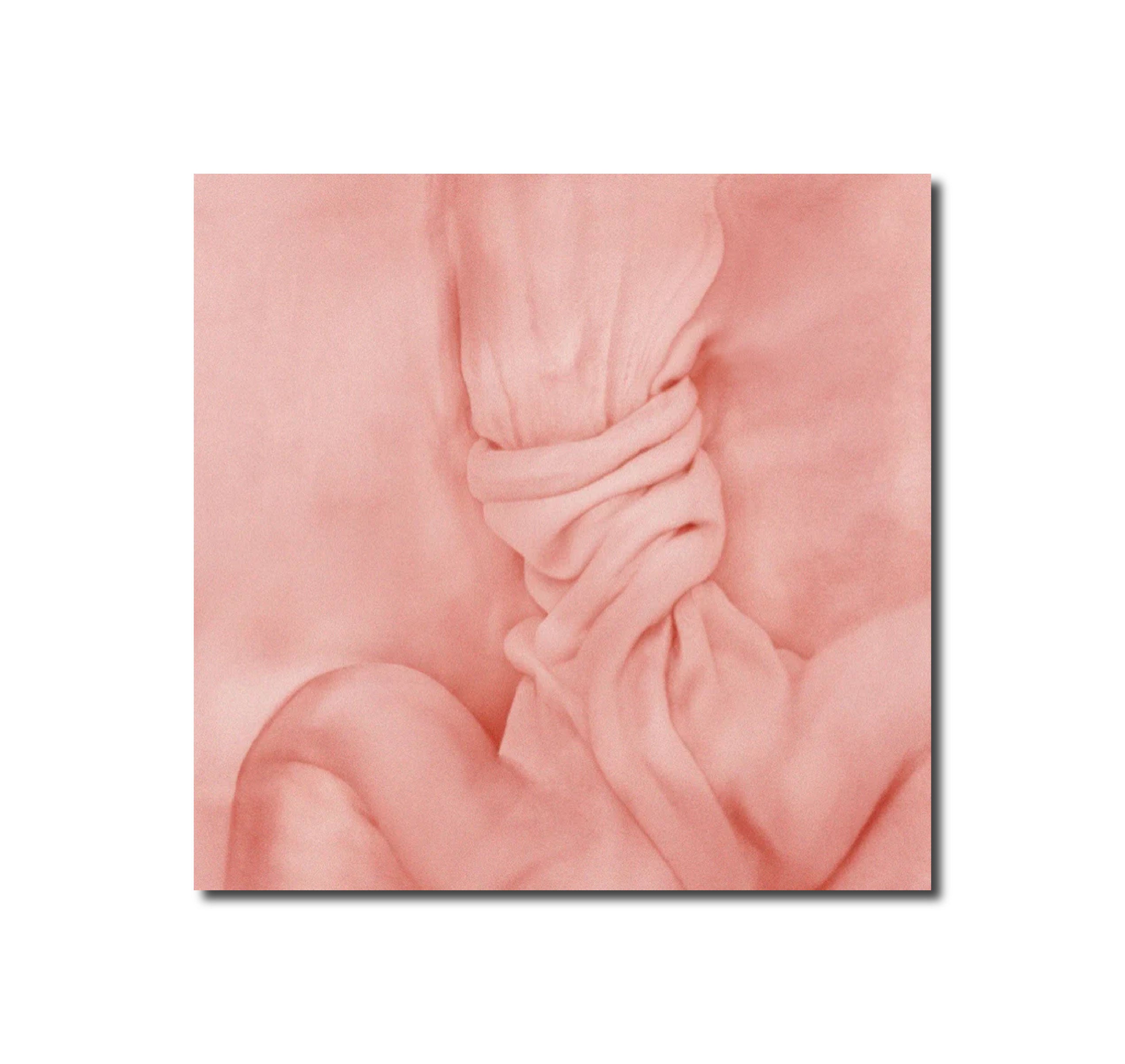 'KNOT'