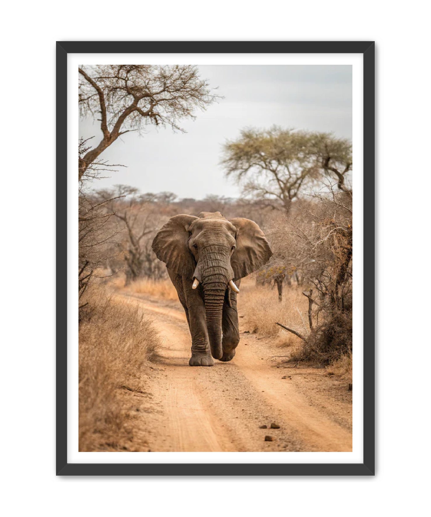 'Sunday Stroll'