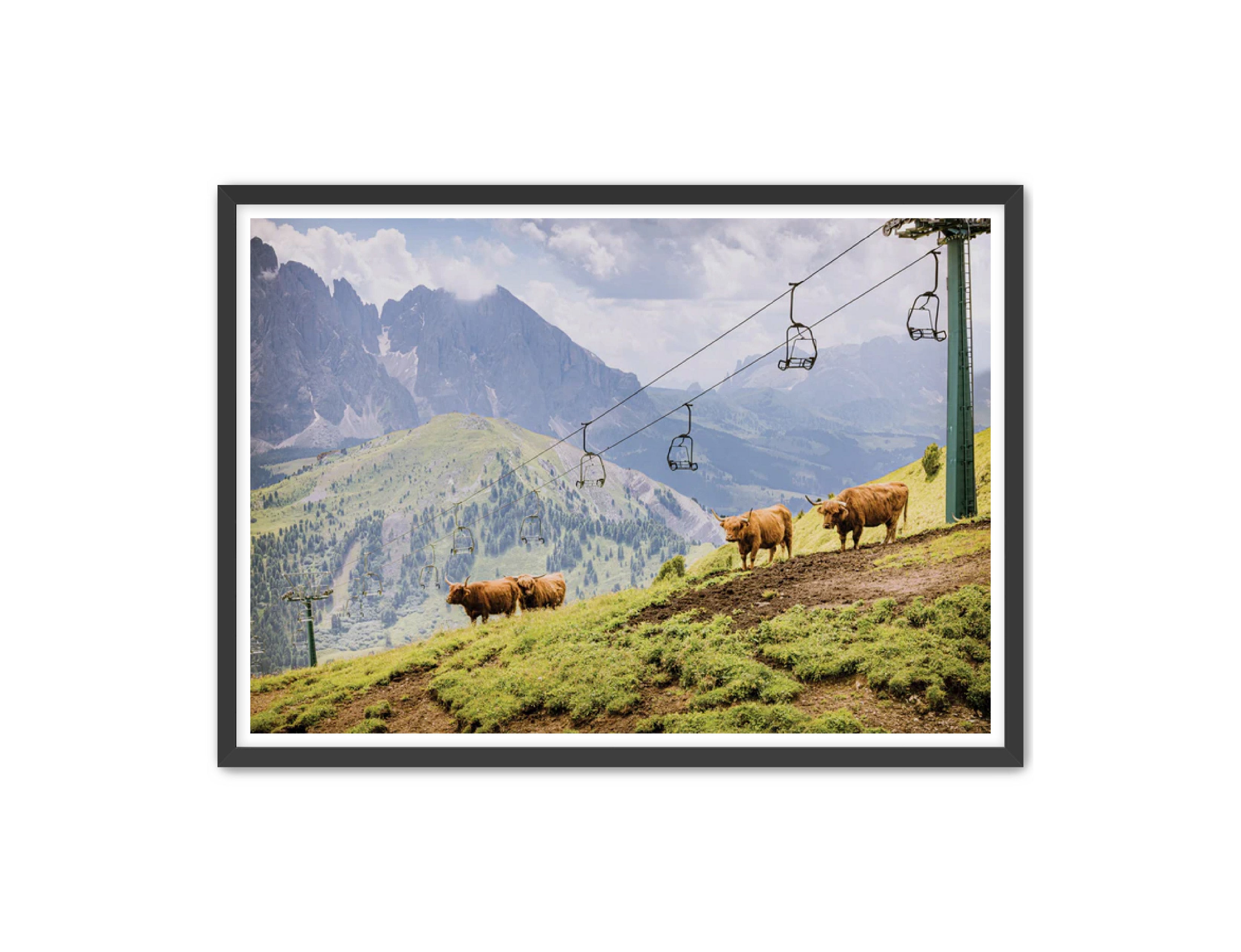 photography Prints 'HIGHLANDS ON THE HILL' Erin Rudzinski