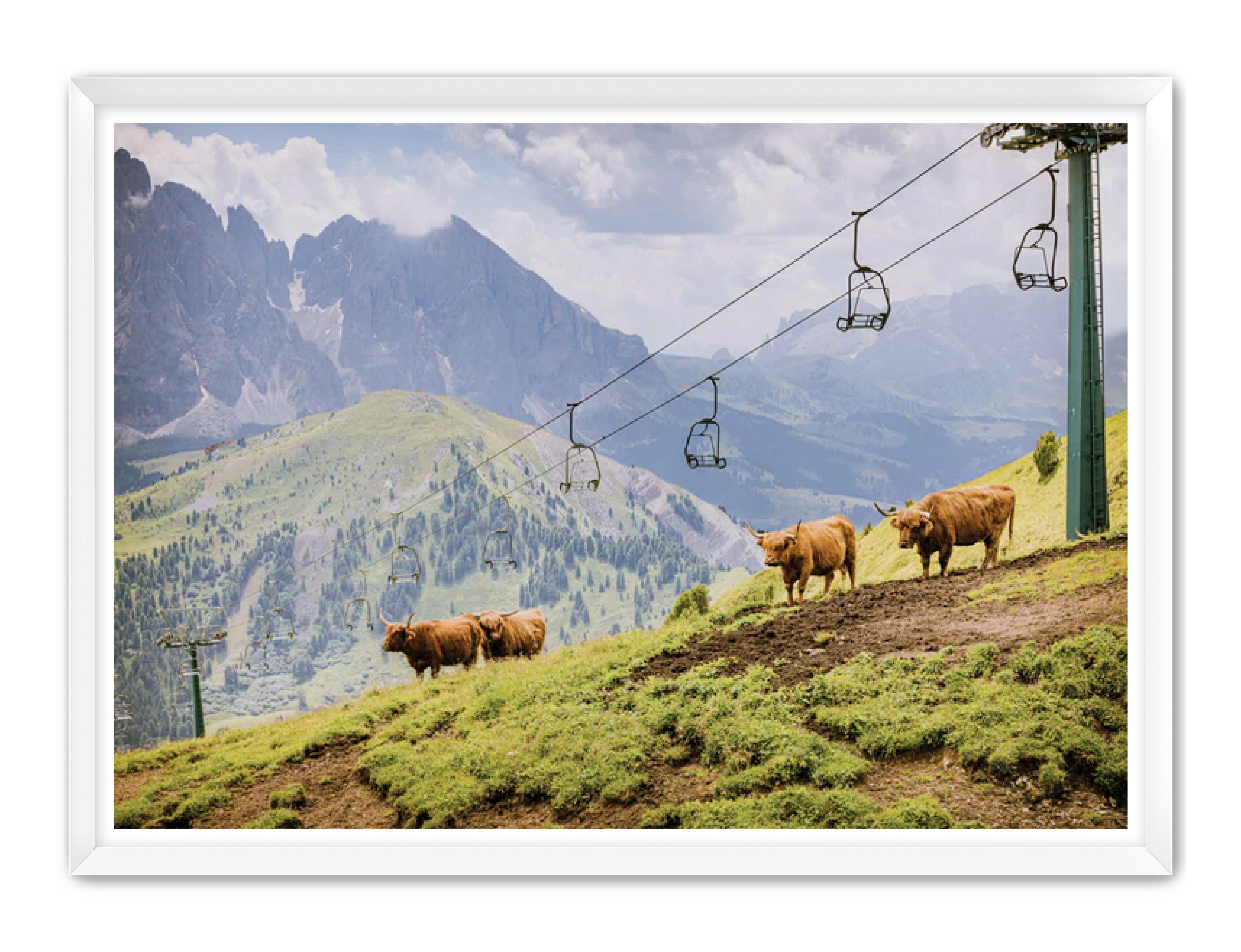 photography Prints 'HIGHLANDS ON THE HILL' Erin Rudzinski