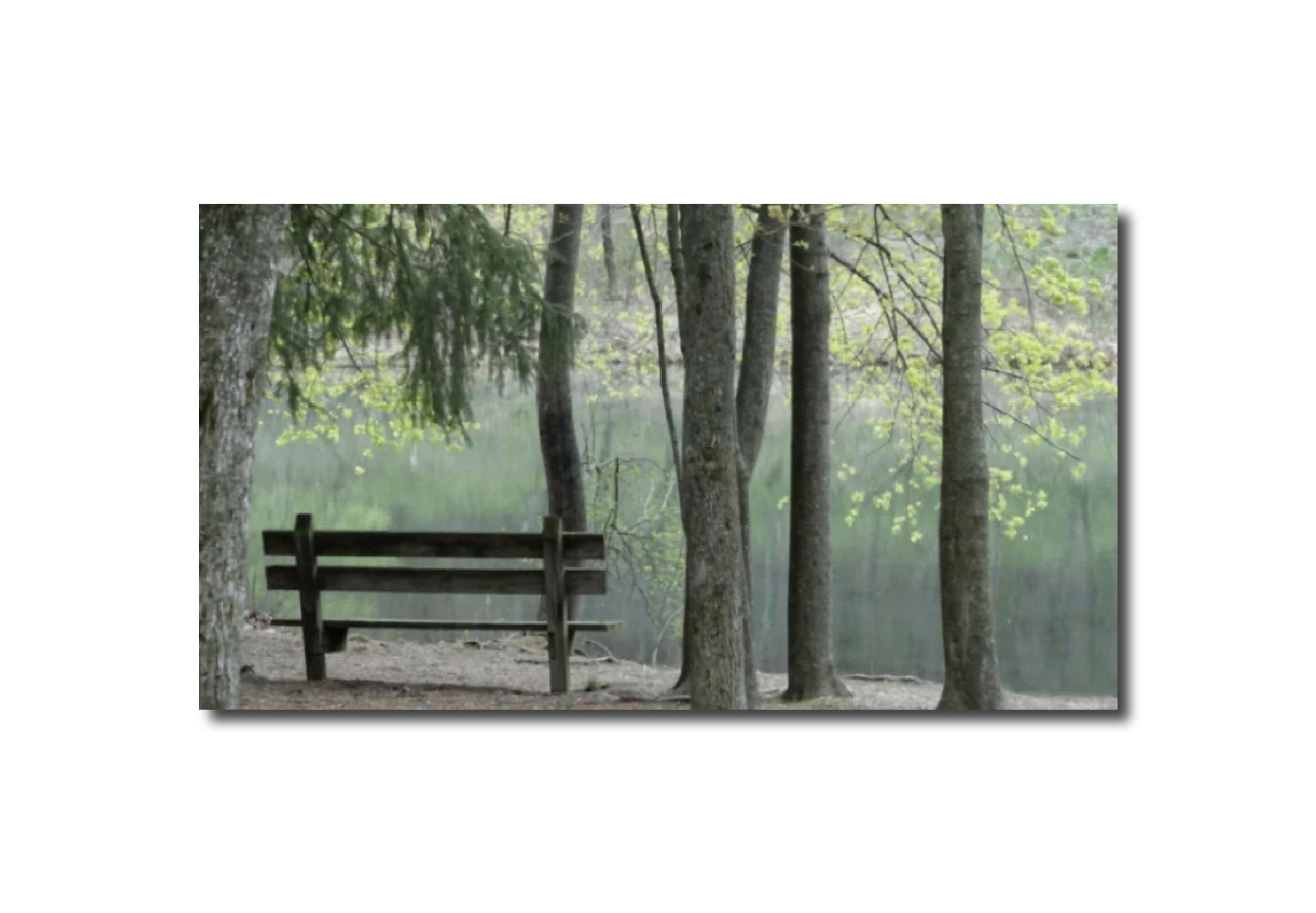 Colorized Photography Expressionist Landscape Photography Bench of solace and solitude 1.5 inch Gallery wrap Nicole Martinelli