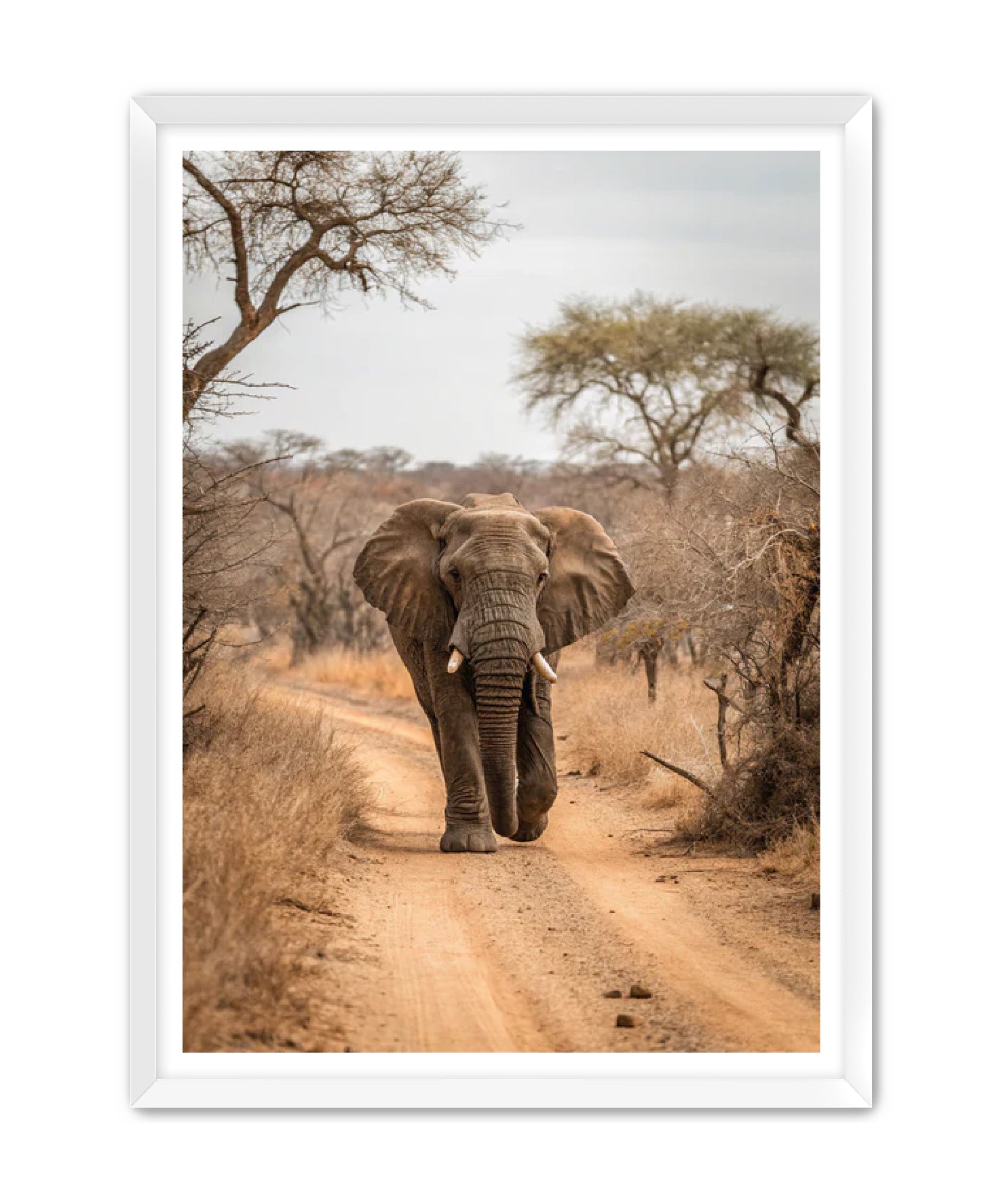 'Sunday Stroll'