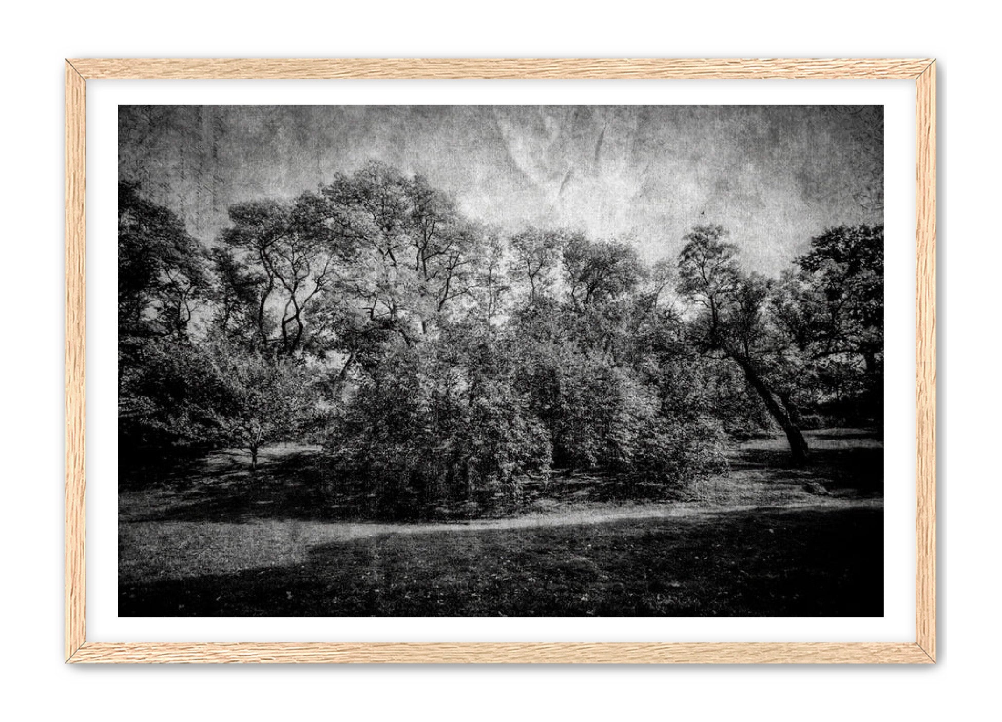 PhotoArt Prints 'LIFE OF TREES' Danielle Neumann Kelly
