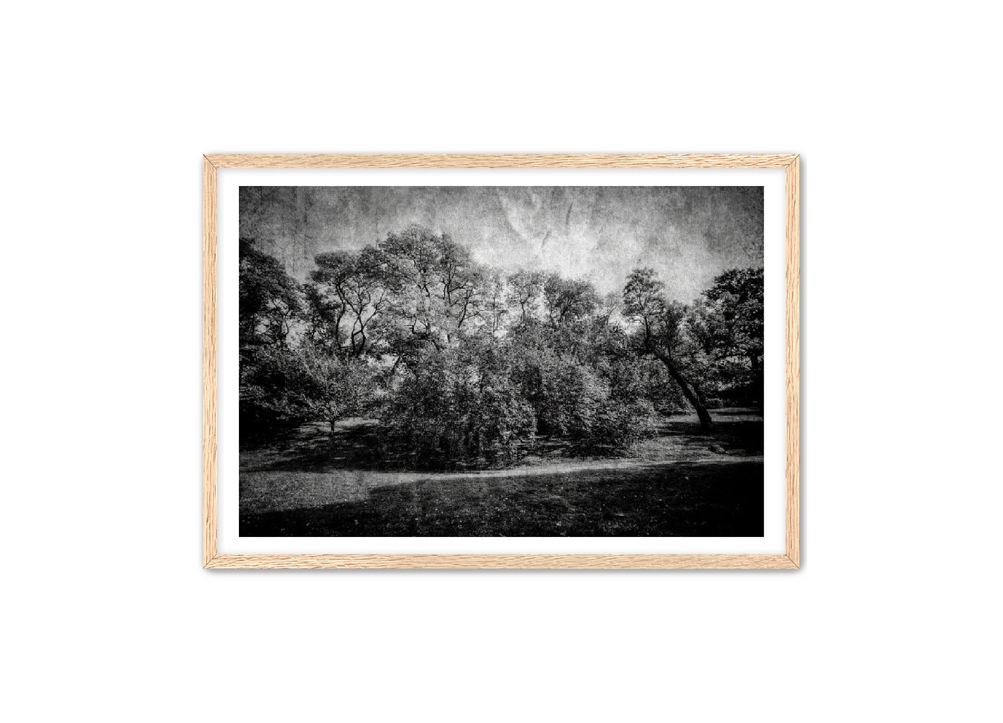 PhotoArt Prints 'LIFE OF TREES' Danielle Neumann Kelly