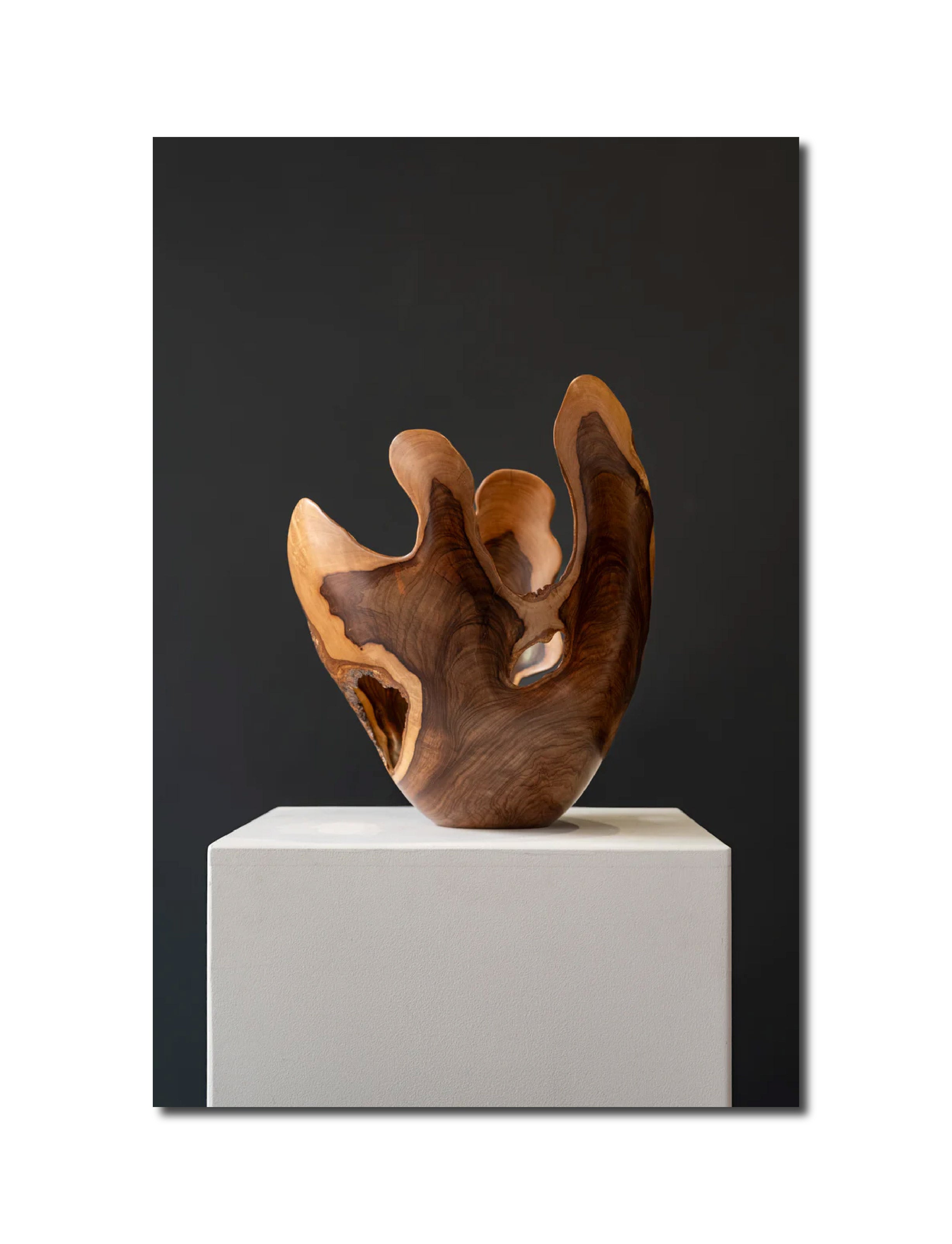 'WILD OLIVE WOOD' Rodney Band