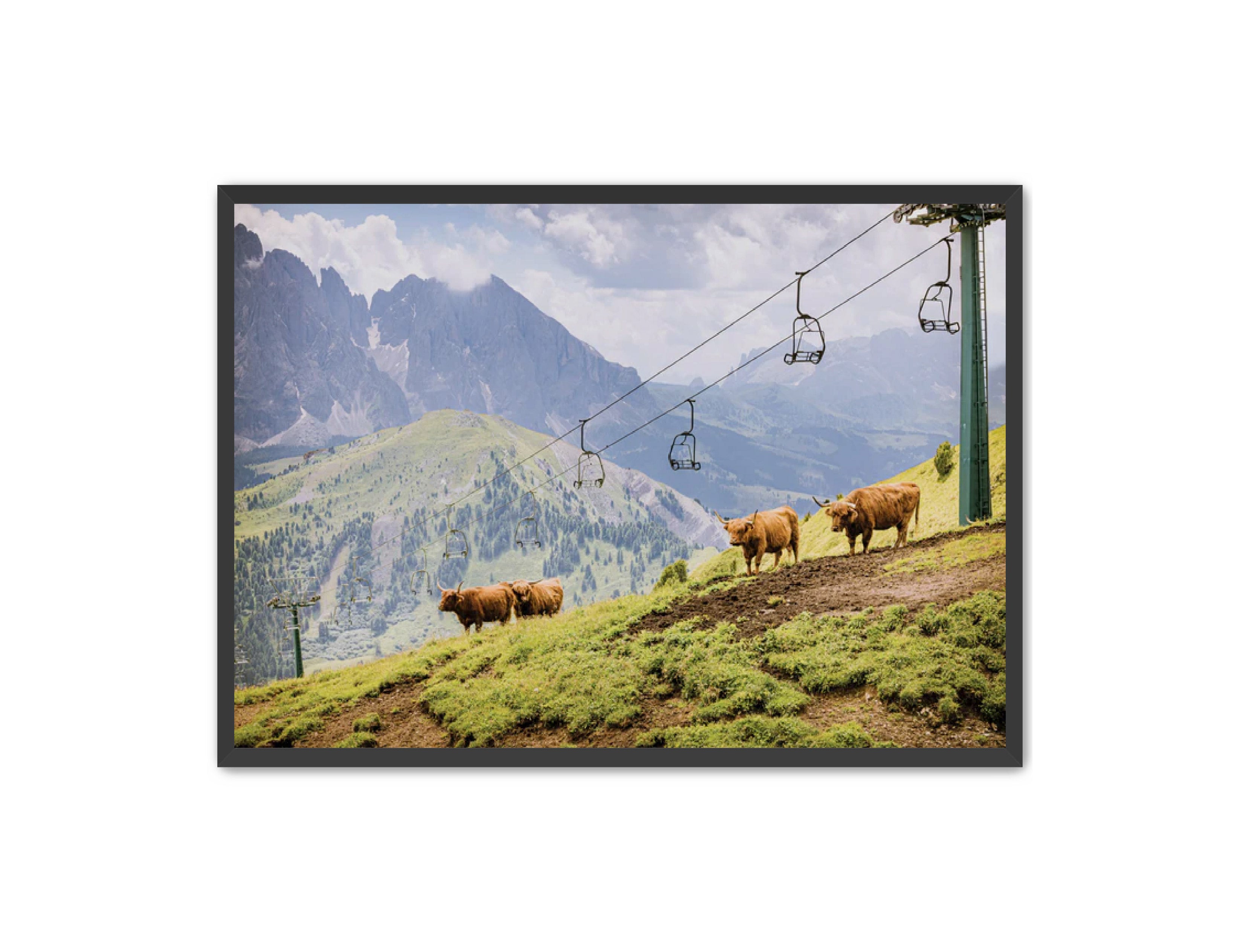 photography Prints 'HIGHLANDS ON THE HILL' Erin Rudzinski