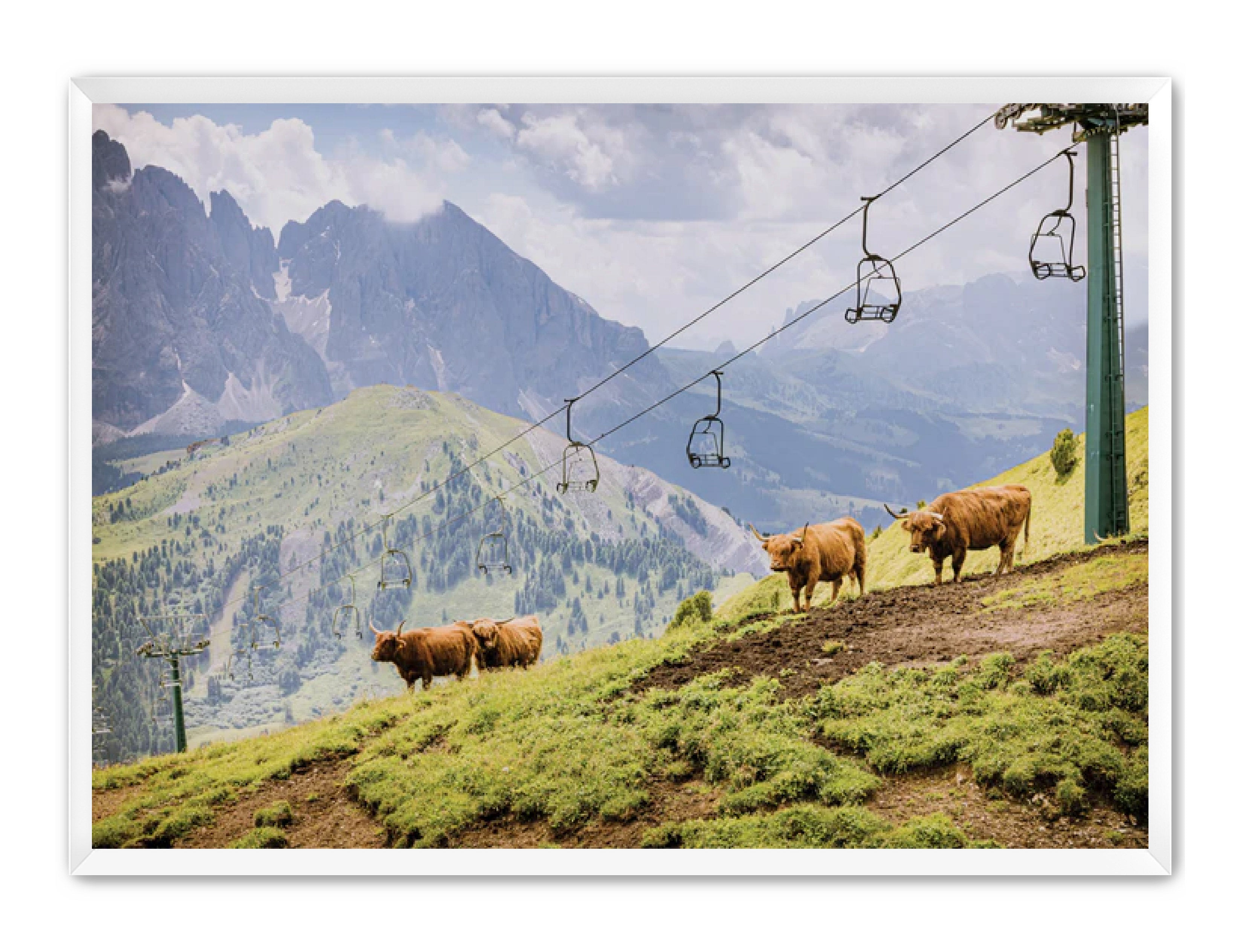 photography Prints 'HIGHLANDS ON THE HILL' Erin Rudzinski