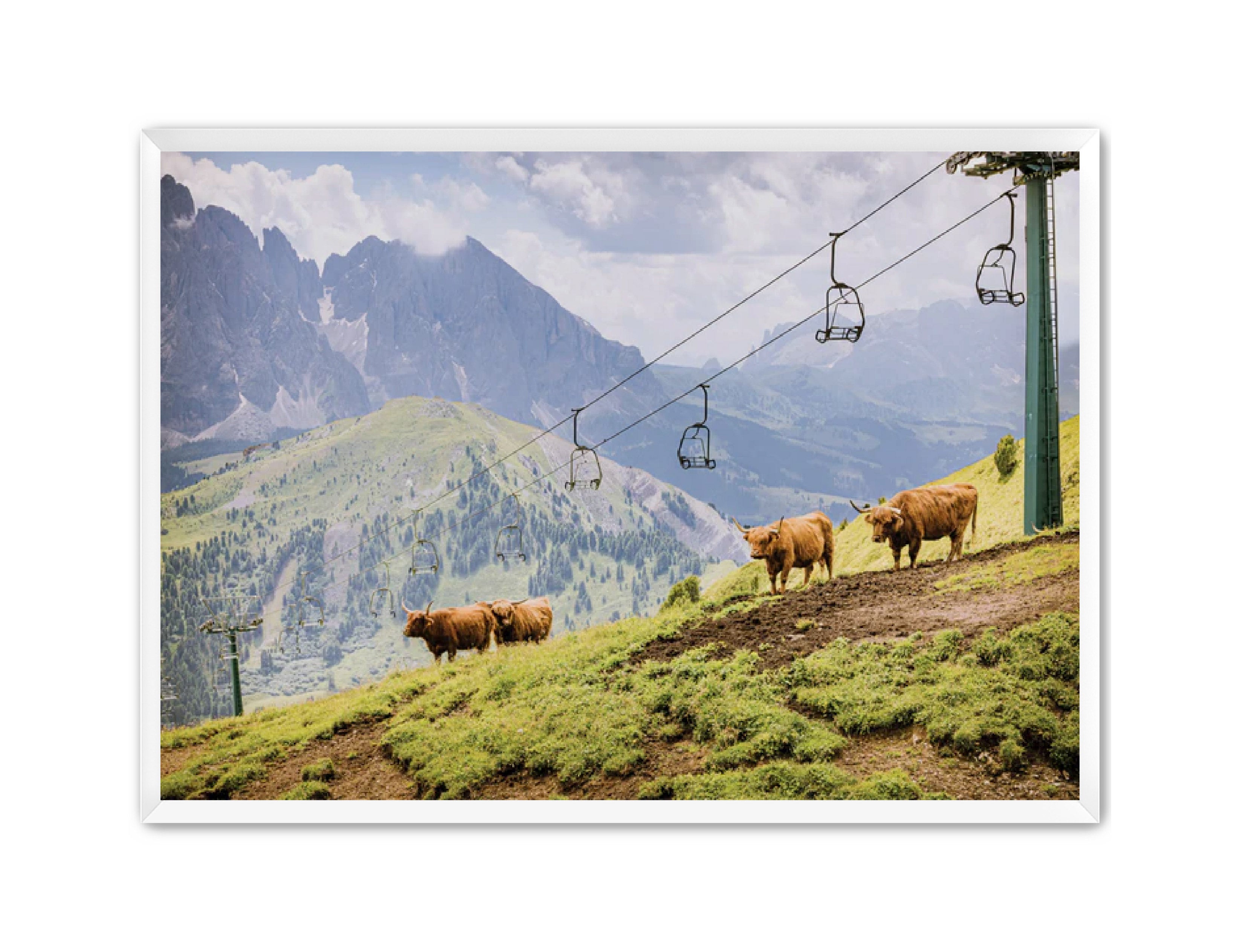 photography Prints 'HIGHLANDS ON THE HILL' Erin Rudzinski