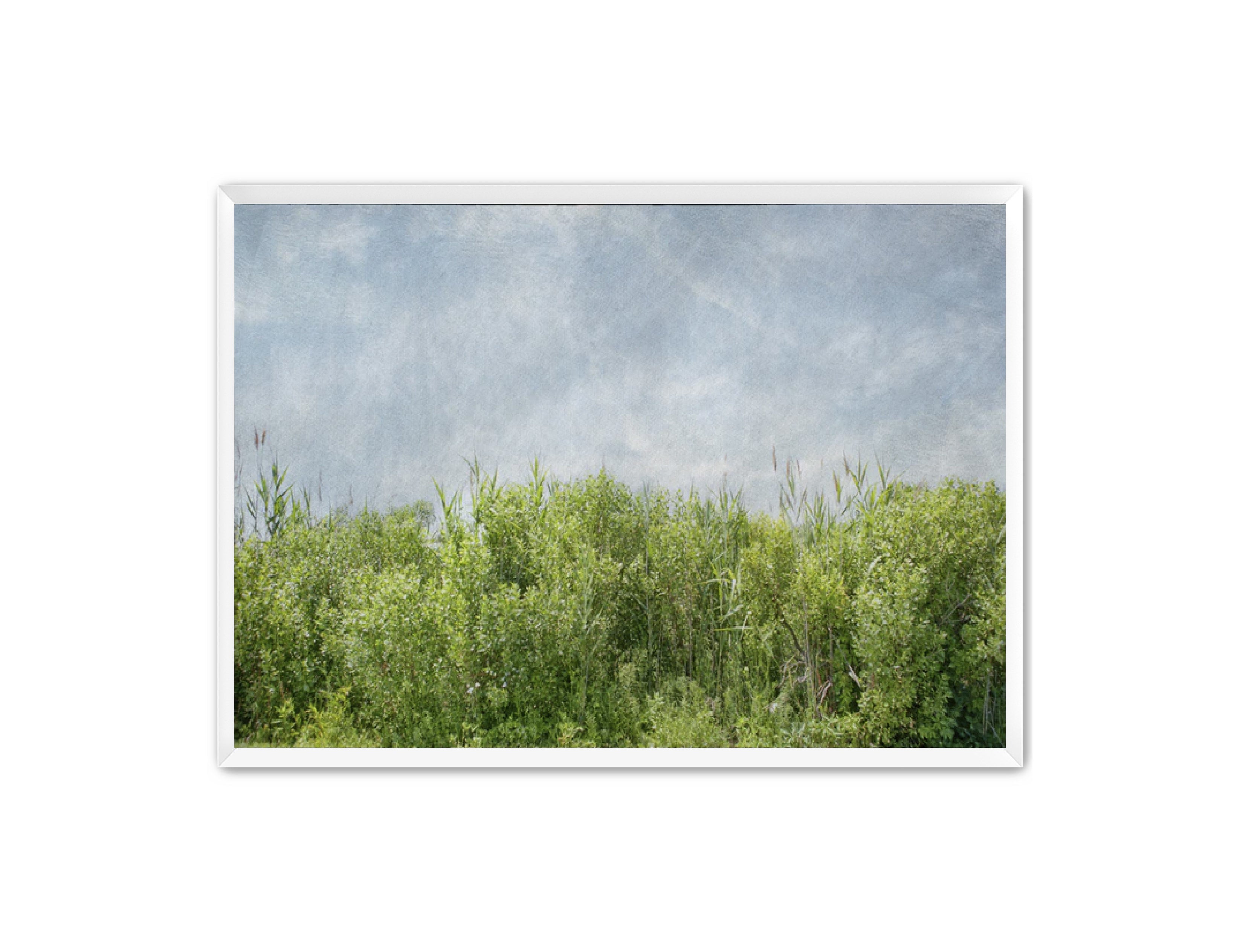 PhotoArt Prints 'BEACH BRIAR' Danielle Neumann Kelly