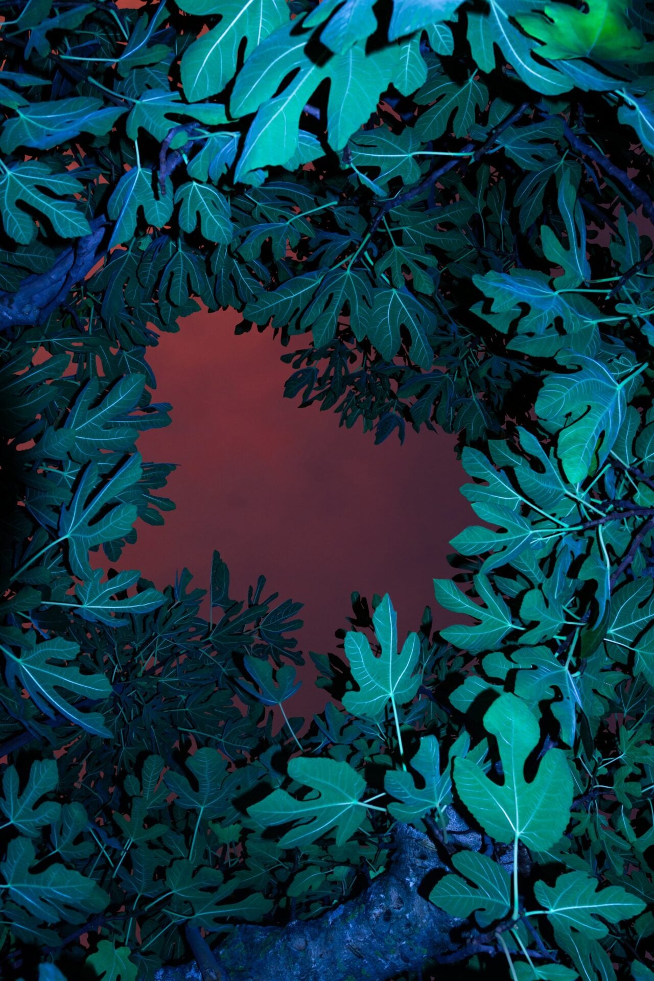 Garnet 21st of October 2020 (19:30) William Joe Josephs Radford