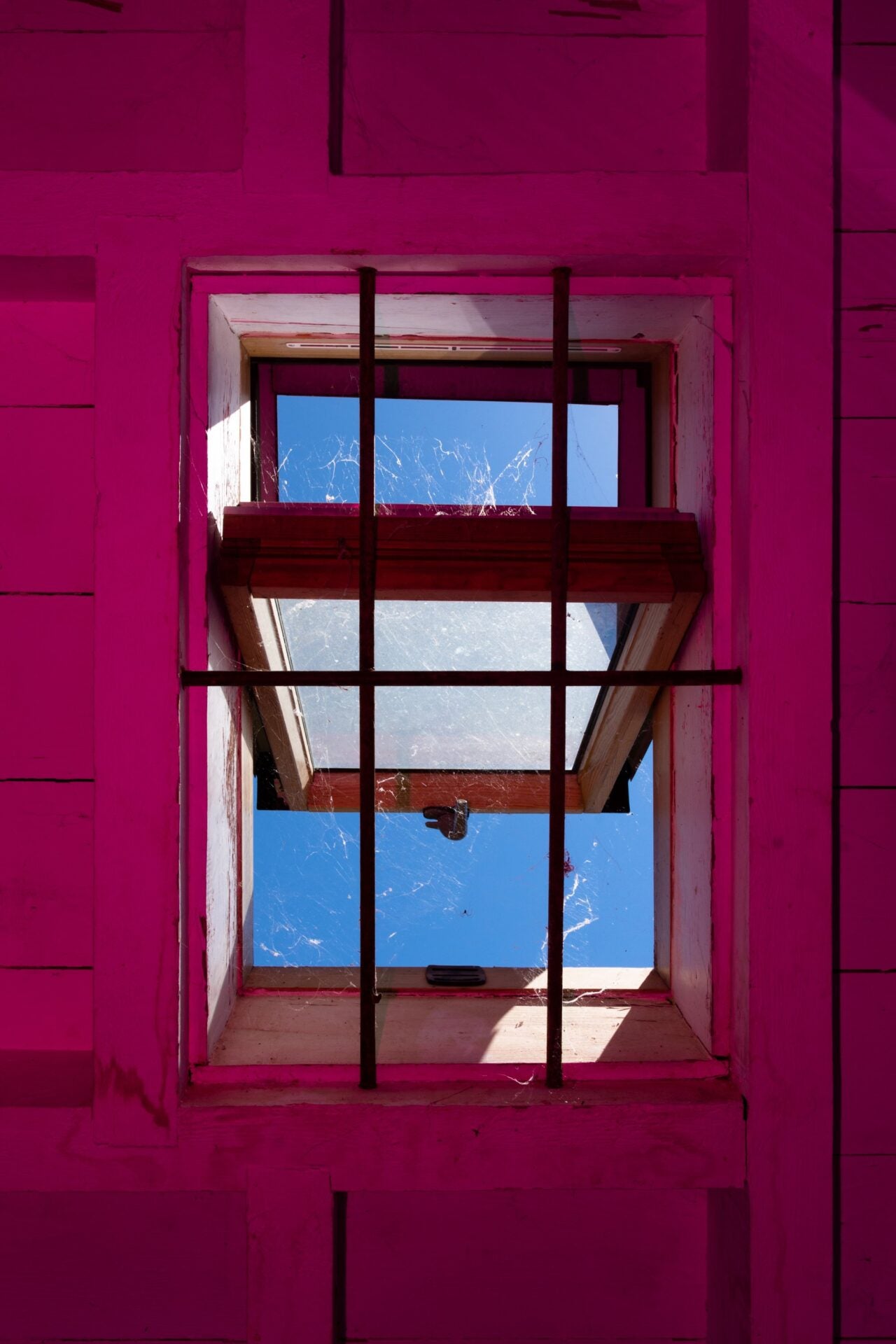 Garnet 6th of June 2019 (14:12) William Joe Josephs Radford