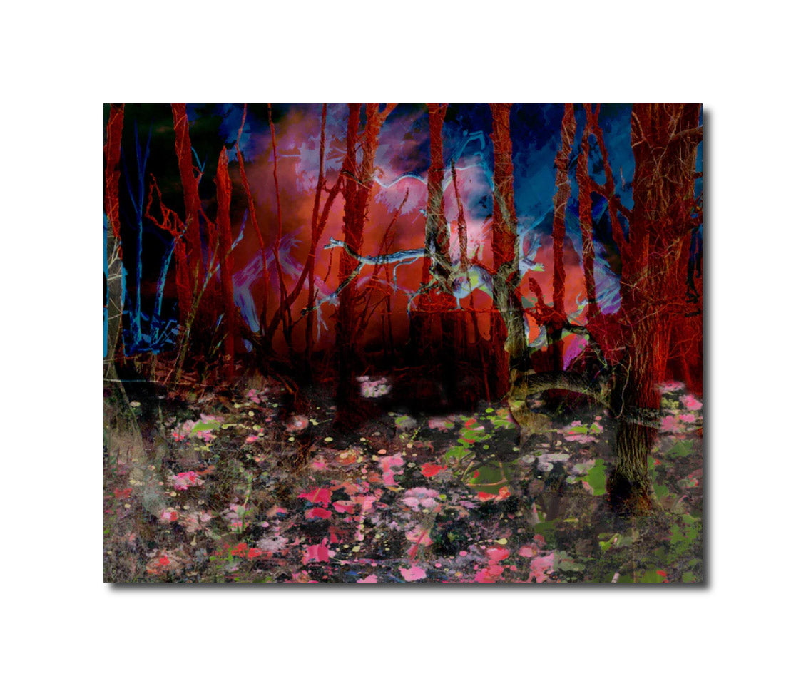 Liberation of the mind 243 Geert Lemmers