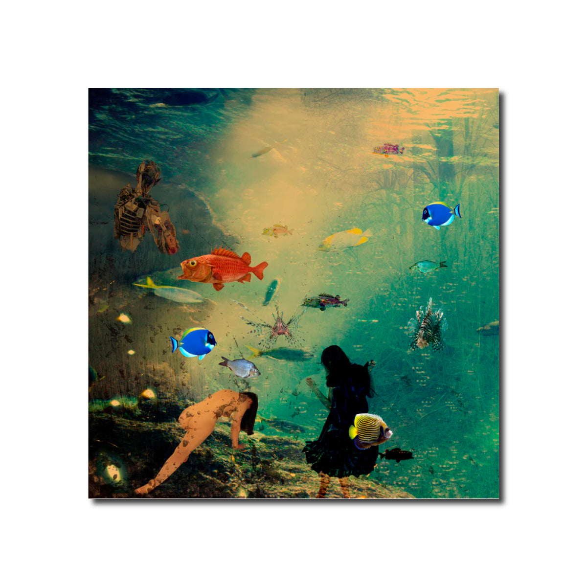 My Elysium 9 Geert Lemmers