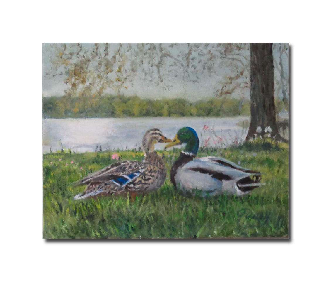 Duck Love Tom Furey