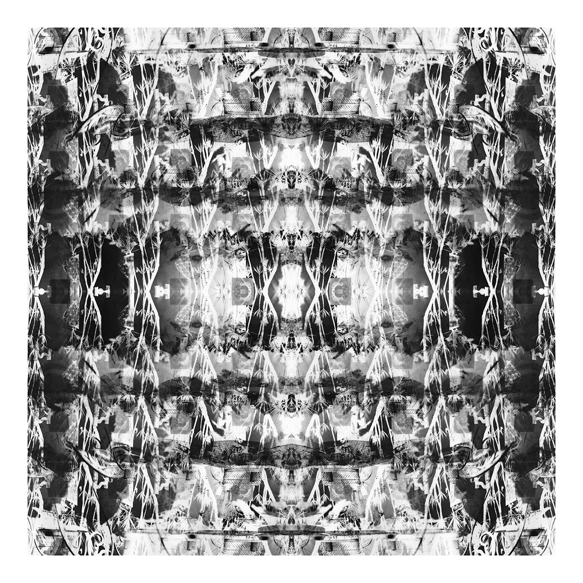 Garnet LACE IV St.John Fuller