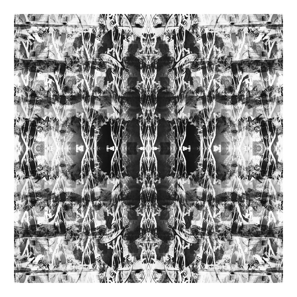 Garnet LACE II St.John Fuller