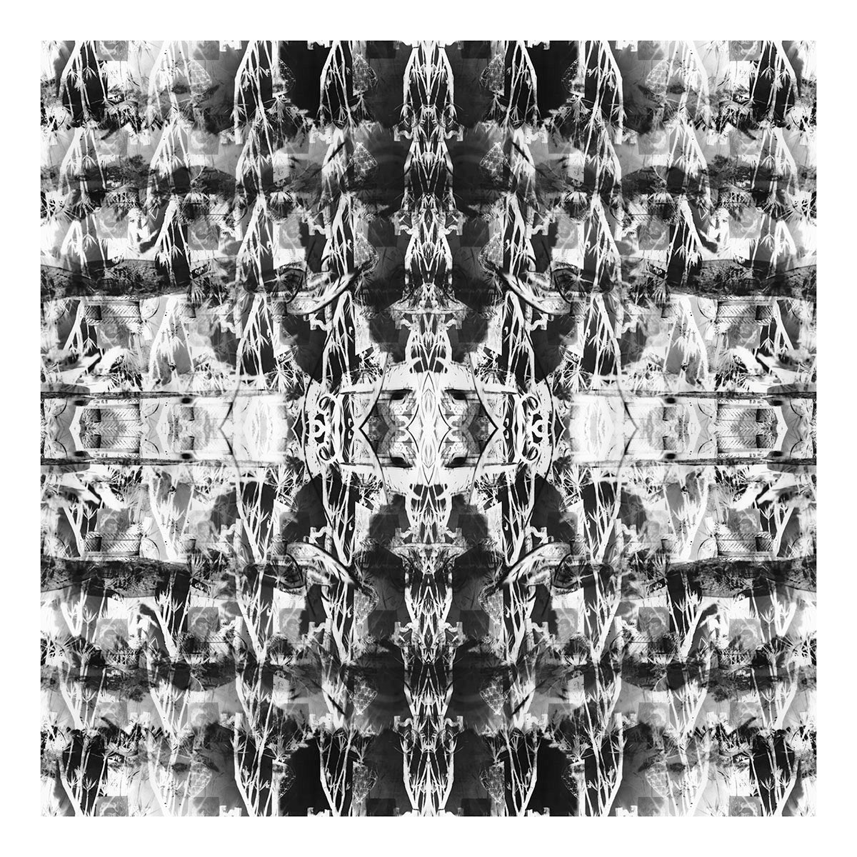 Garnet LACE I St.John Fuller