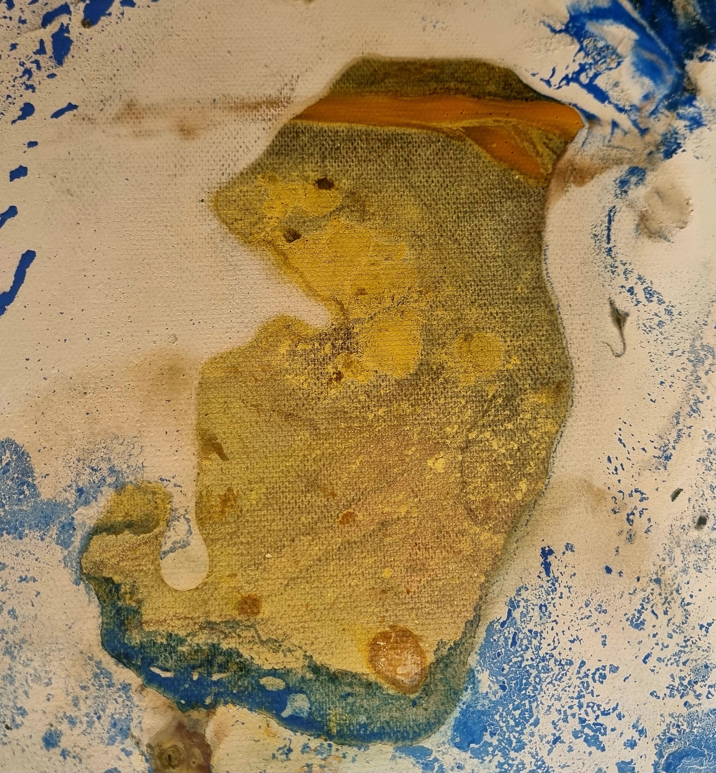 Garnet RECO I Am Wasca Ted Barr