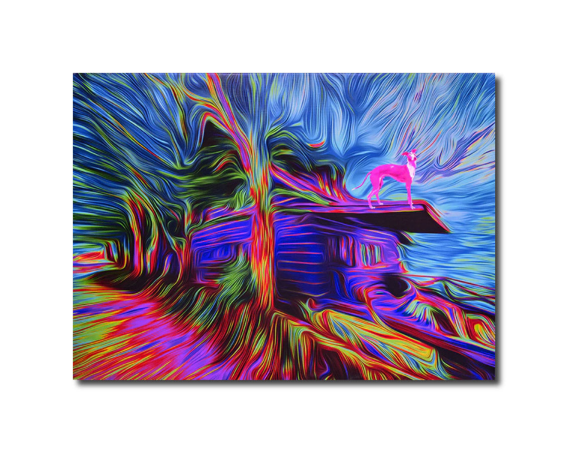 Garnet "Pink Dog" 2015 Karuizawa Tenmei Photo Factory Store