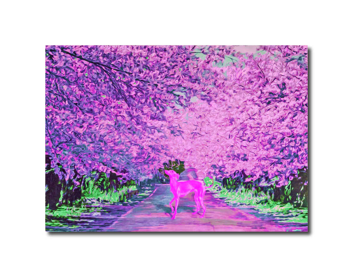 Garnet "Pink Dog" 2015 Fukushima Tenmei Photo Factory Store