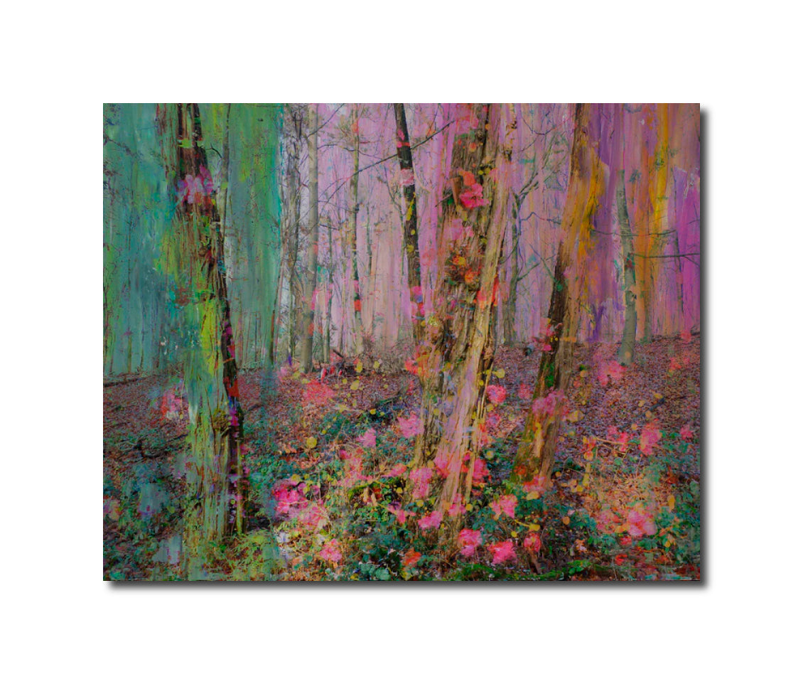 Magical nature opus 90 Geert Lemmers