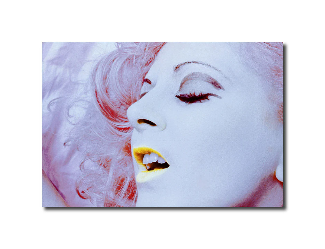 Garnet "FUCK 1969" C-002 Tenmei Photo Factory Store