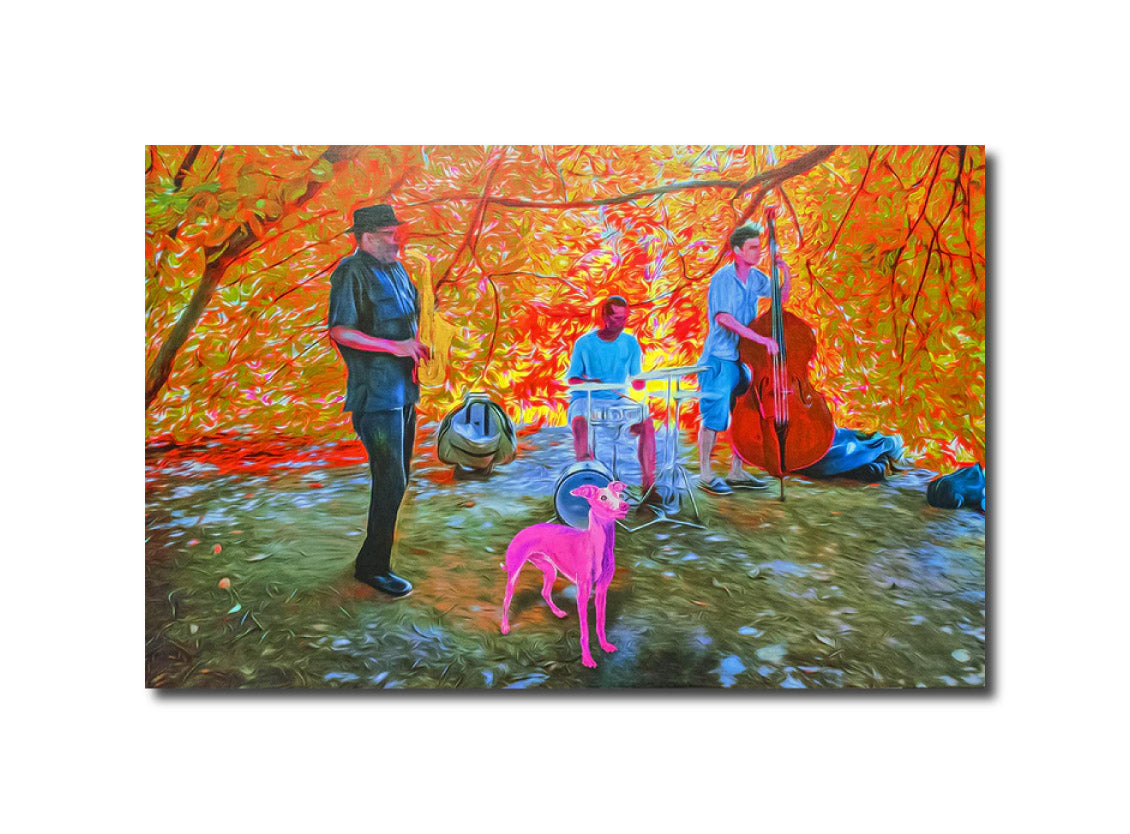 Garnet "Pink Dog" 2015 New York 001 Tenmei Photo Factory Store