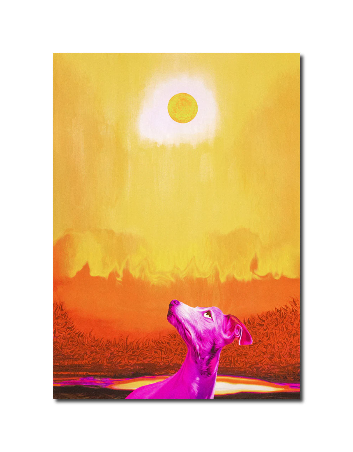 Garnet "Pink Dog" 1977 Hokkaido Tenmei Photo Factory Store