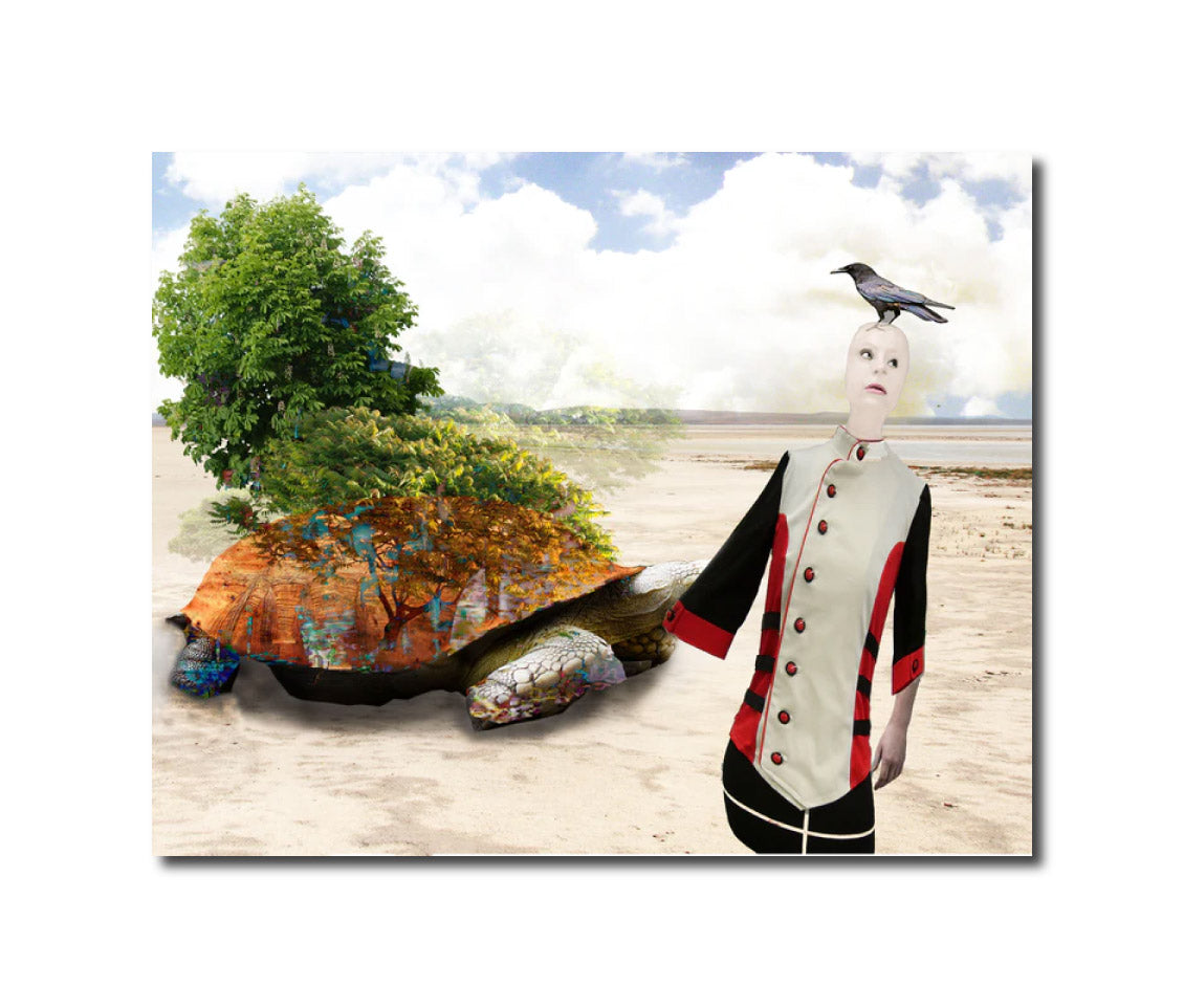 Turtle Island Geert Lemmers