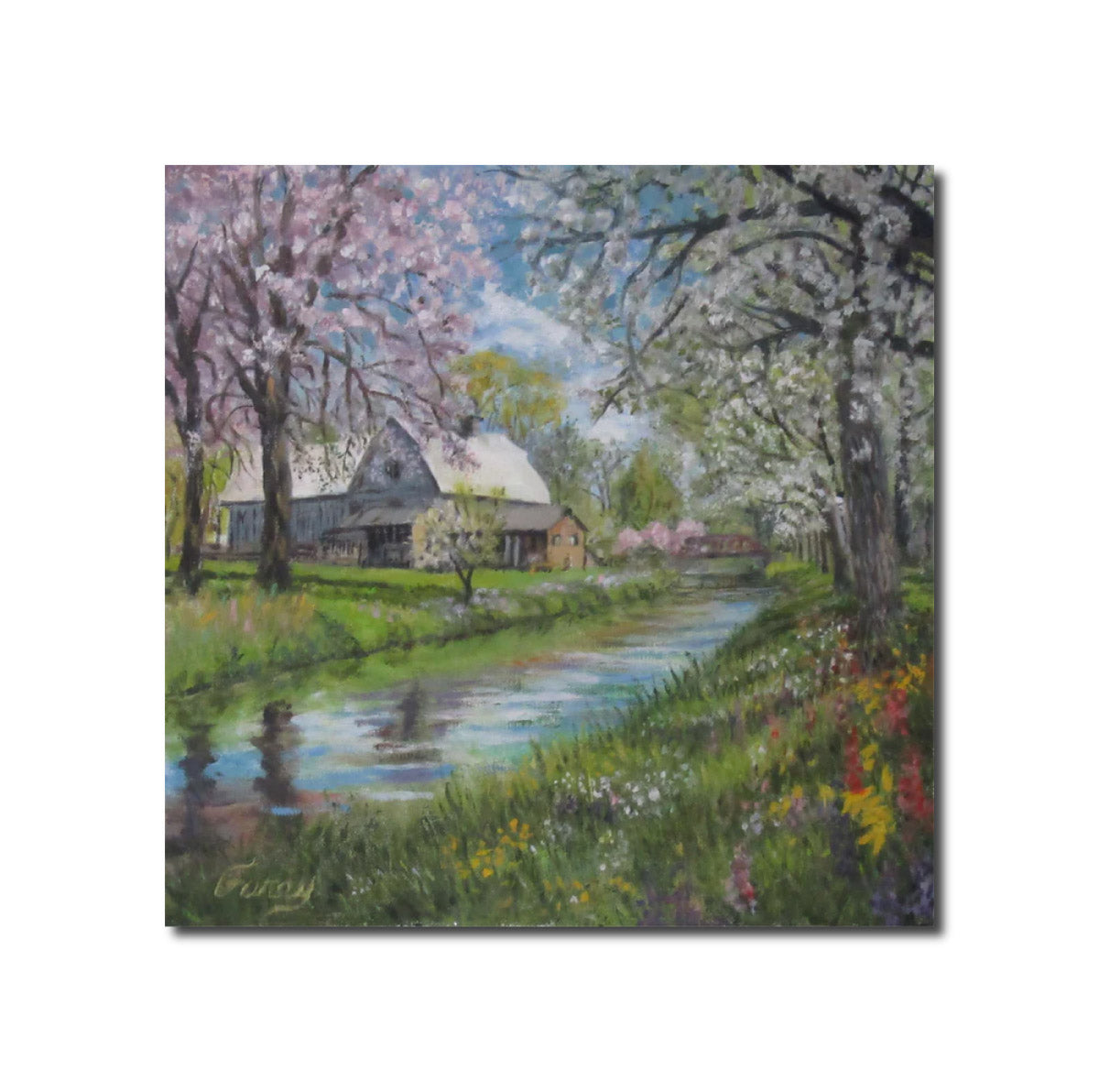 Spring Farm Tom Furey
