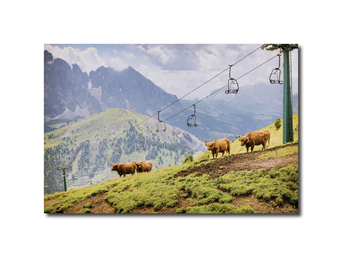 photography Prints 'HIGHLANDS ON THE HILL' Erin Rudzinski