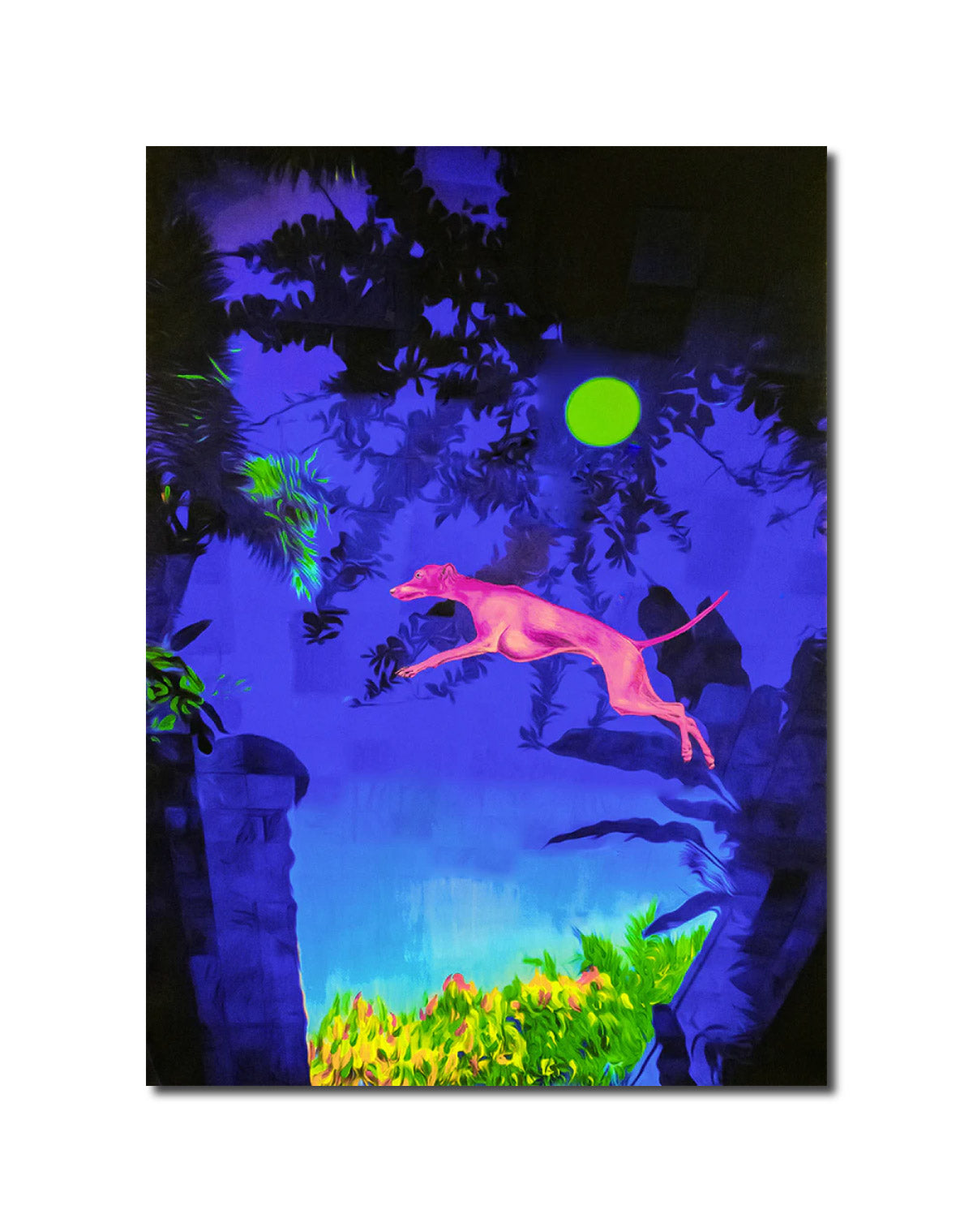 Garnet "Pink Dog" 2018 Bali Tenmei Photo Factory Store