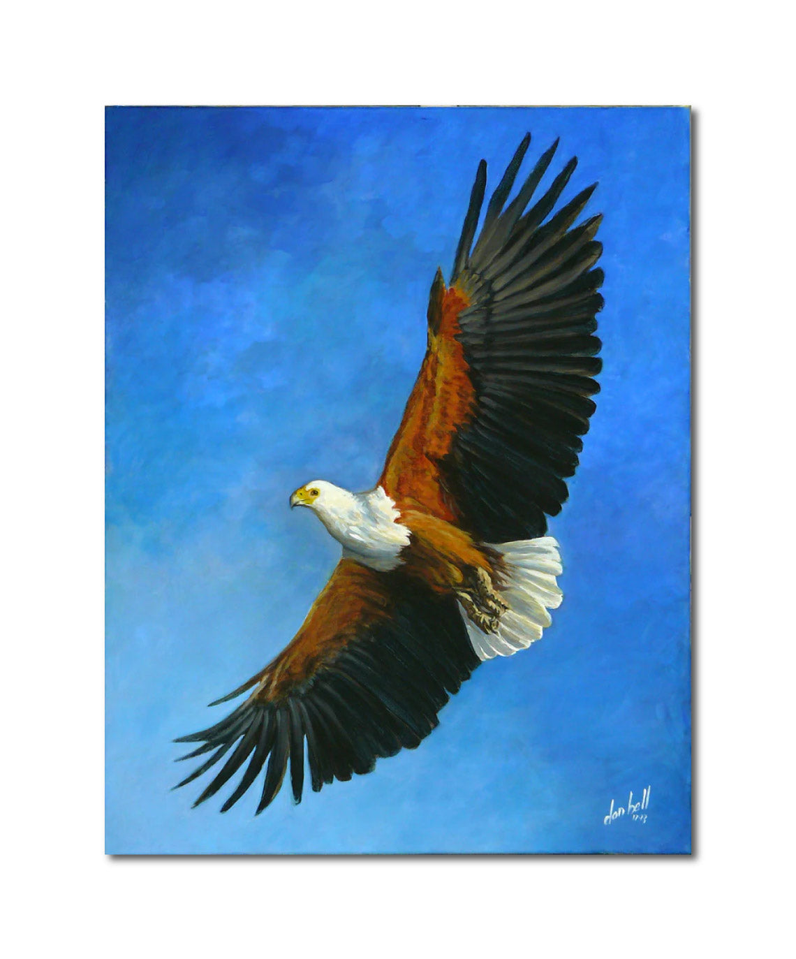 Acrylic 'AFRICAN FISH EAGLE - SOARING WONDER' - Acrylics on canvas Don Bell