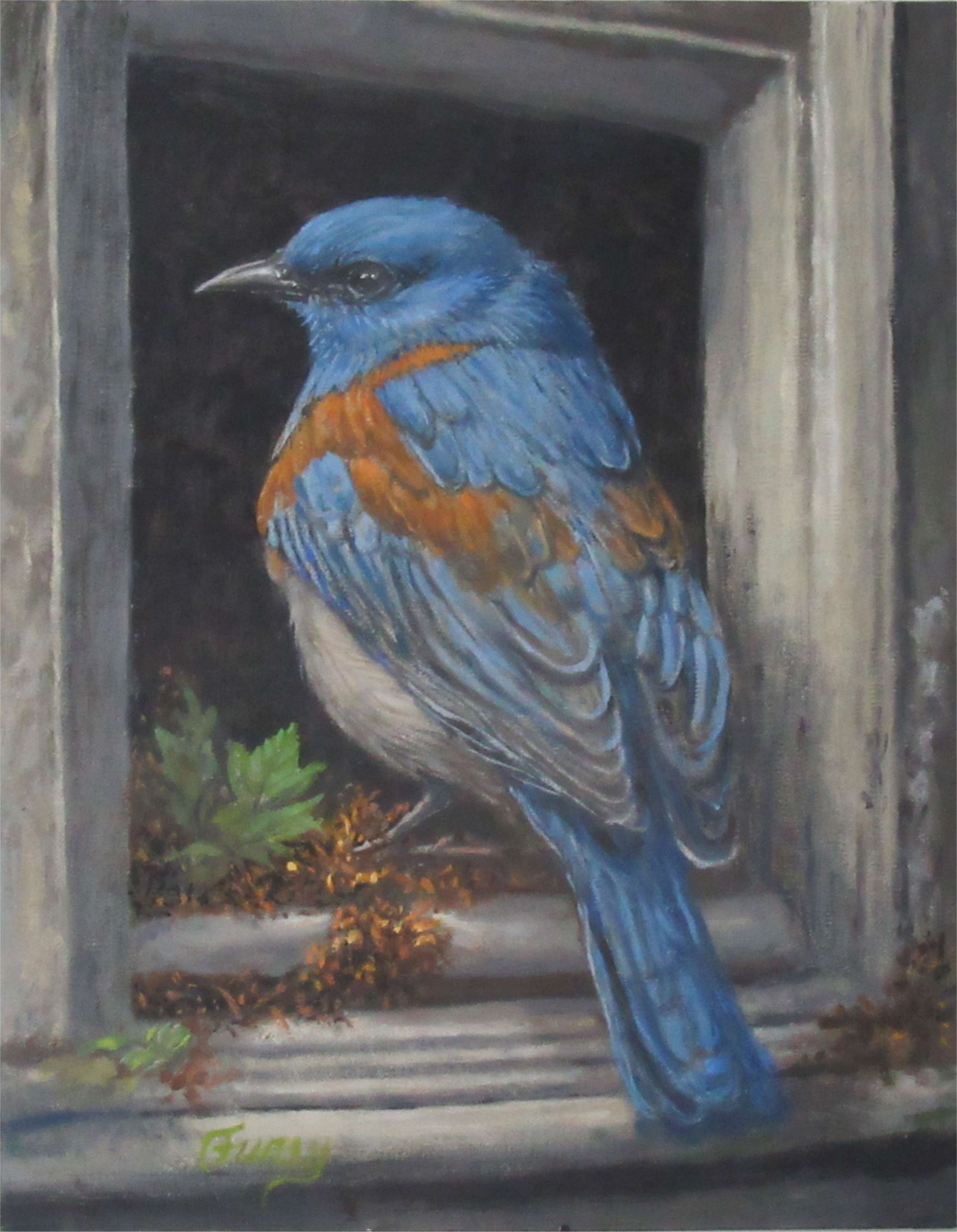 Blue Bird in a Box Tom Furey