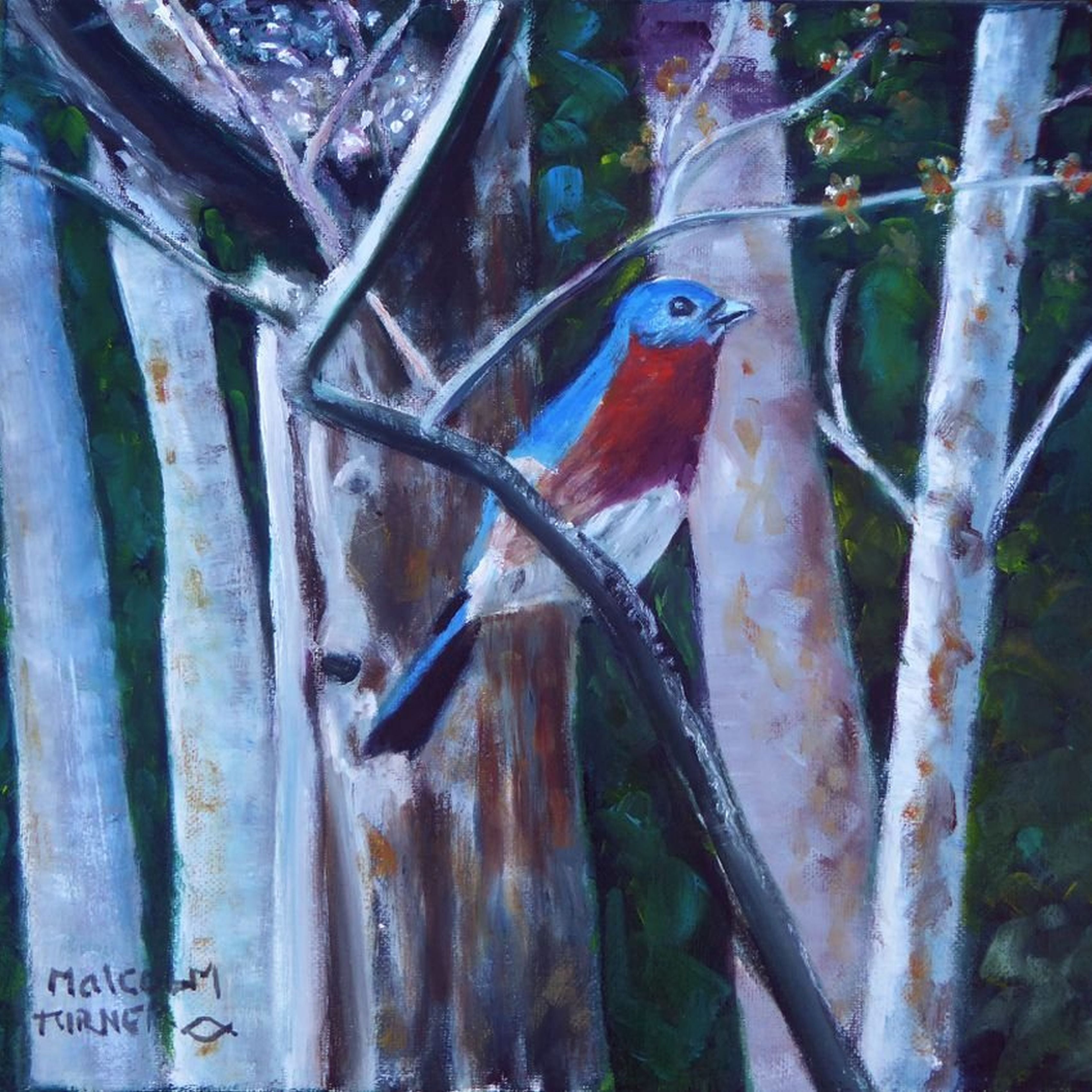 Figurative 'BLUEBIRD' - Oil Painting on Stretched Canvas Malcolm Turner