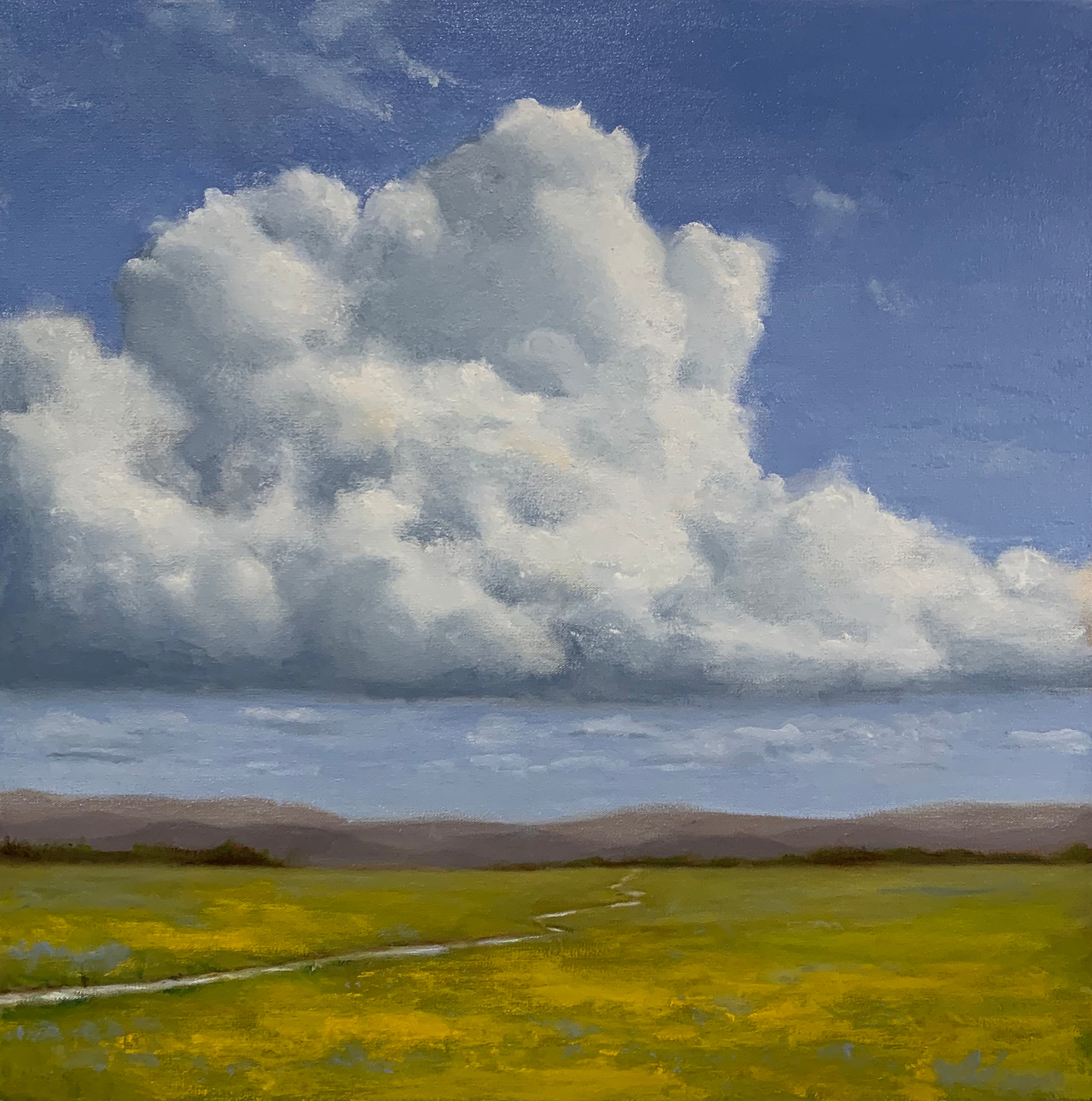 Oil 'BUTTERCUP VALLEY' - Oil Kat Bergman