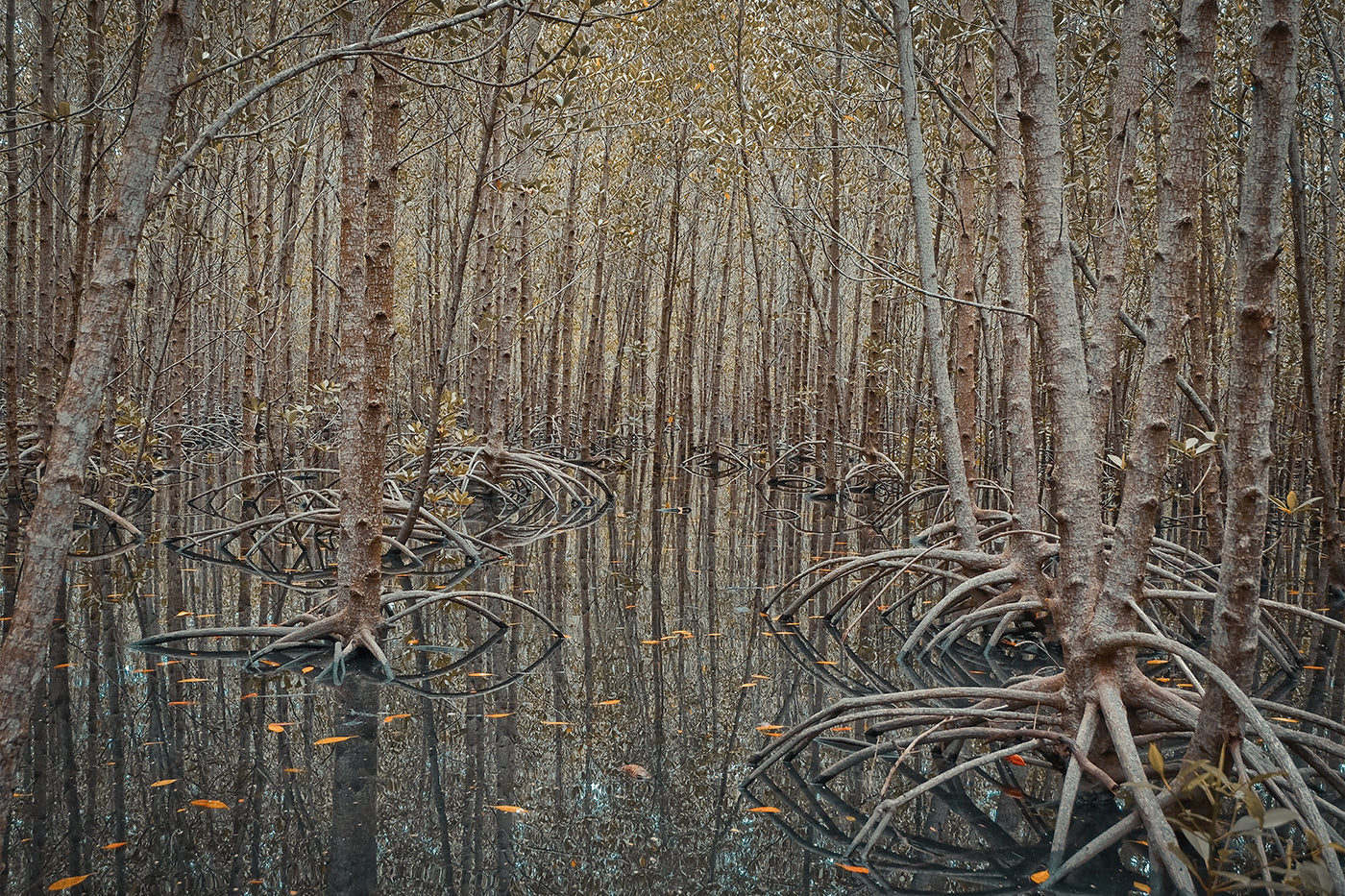 PhotoArt 'DRAWN WITHIN' - Photograph Print on Archival Paper Aeson Baldevia