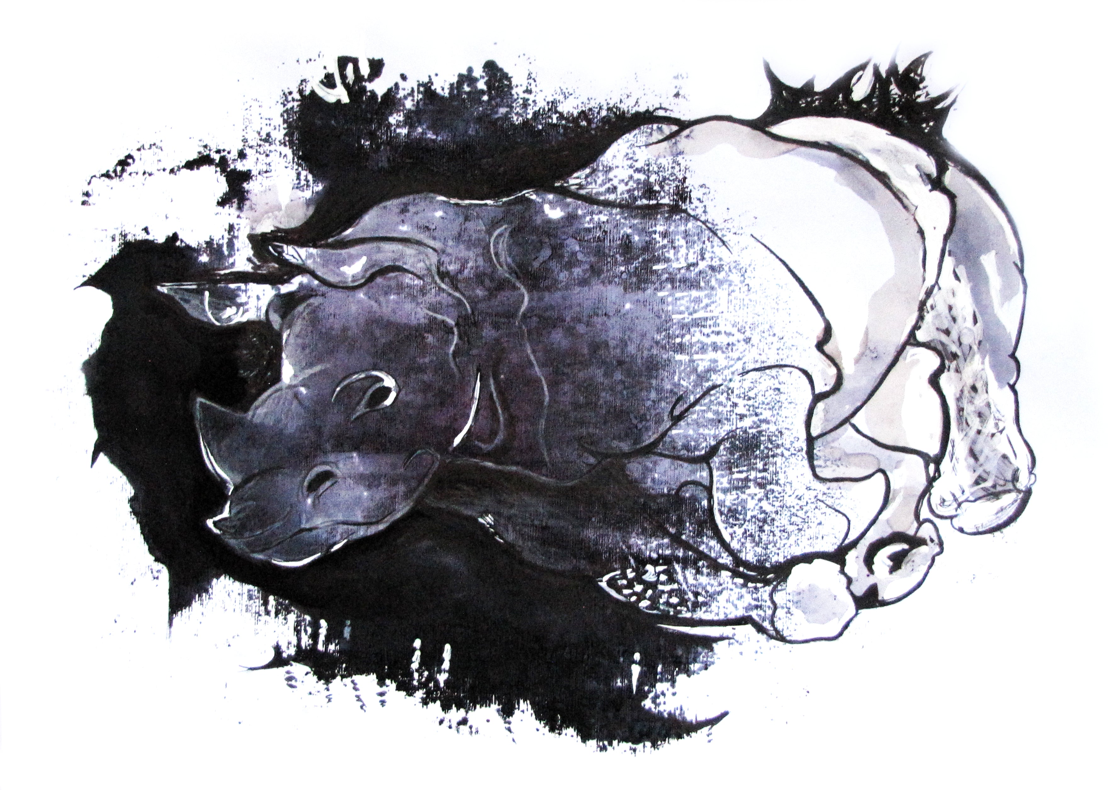 Dark Wings Sanaz Haeri