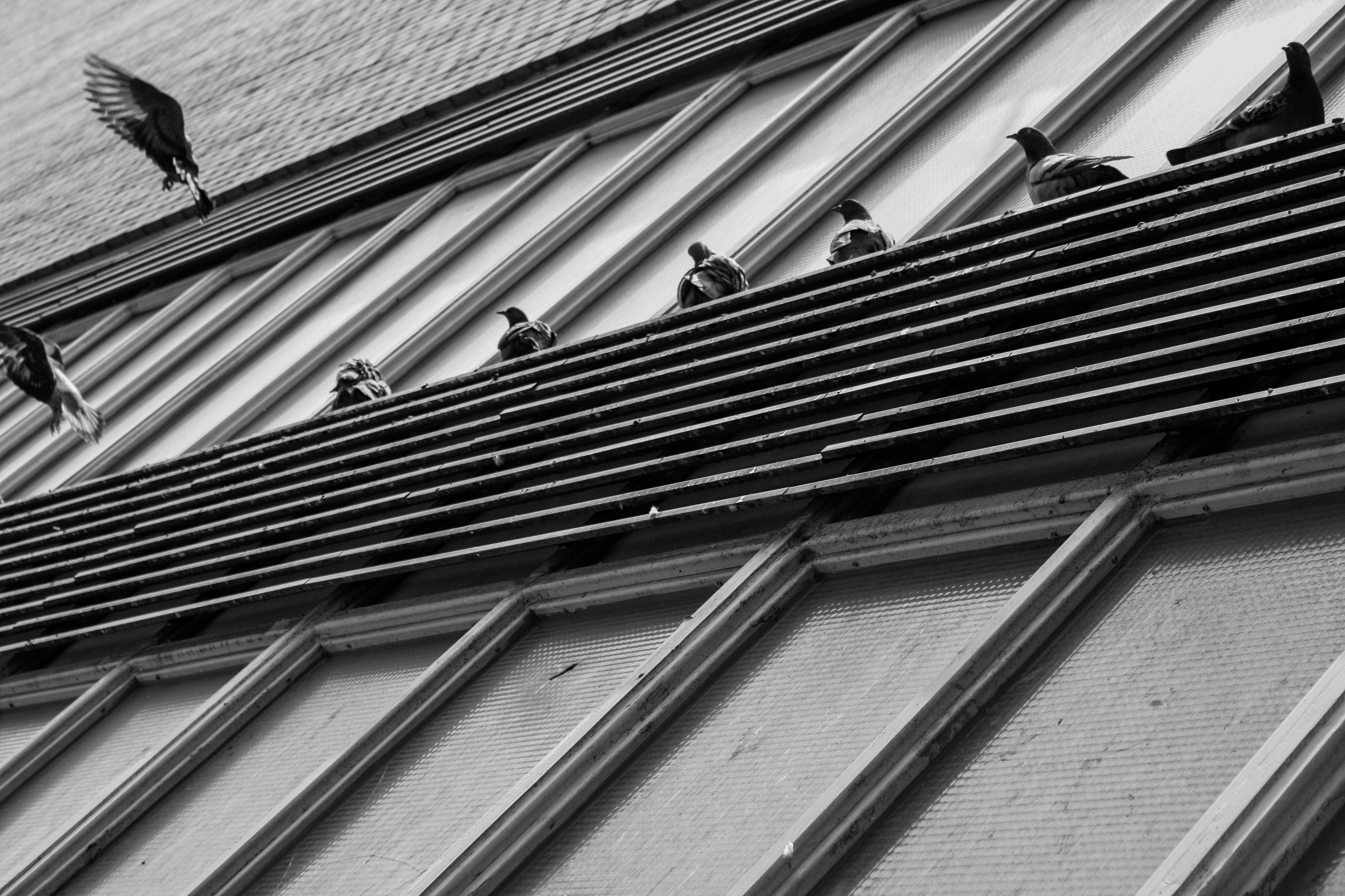 Contemporary Geometric 'DECAMPMENT' Nicola Montfort